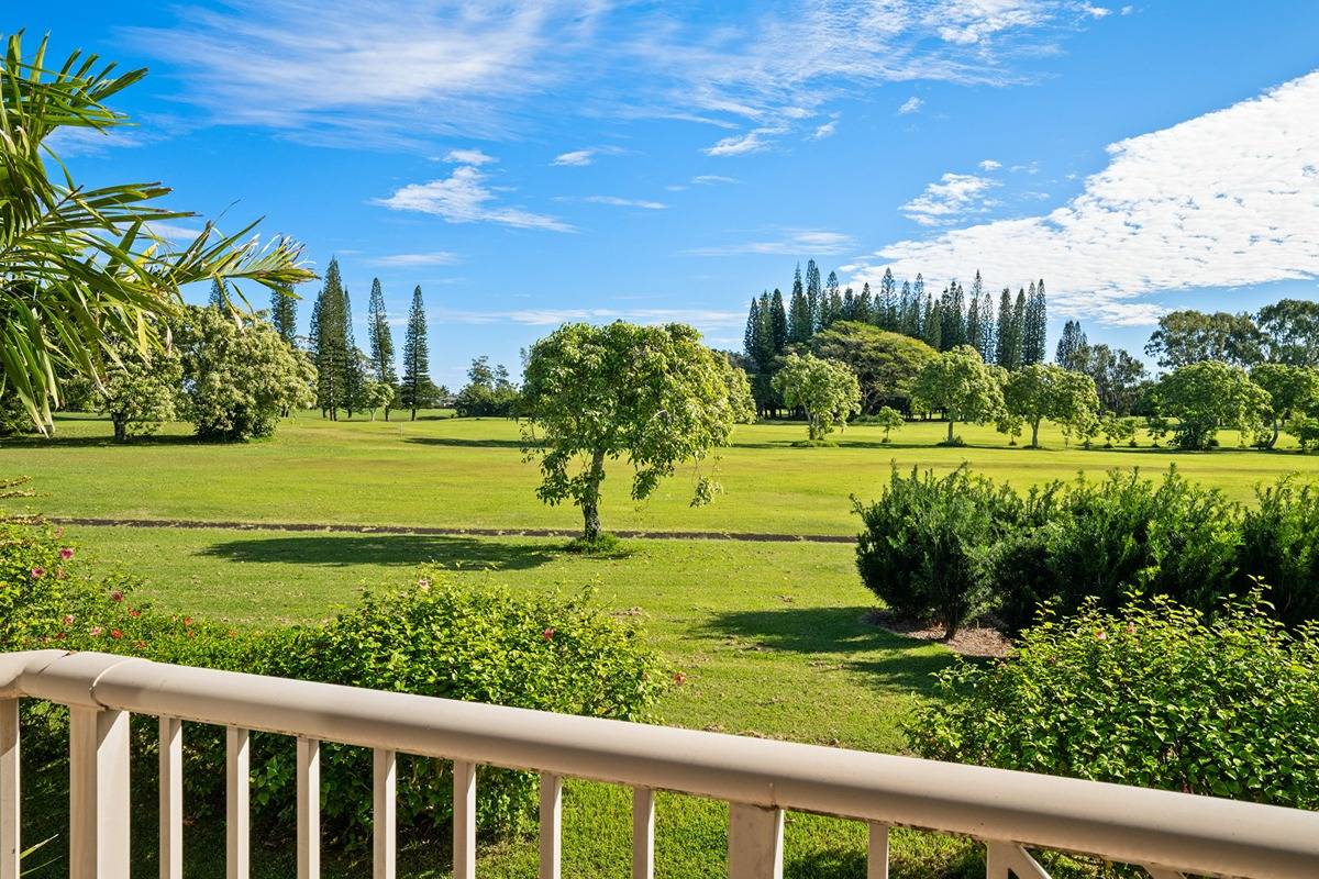 4141 LEI O PAPA RD 8