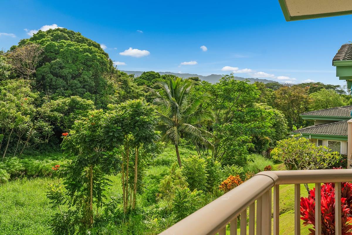 4141 LEI O PAPA RD 29