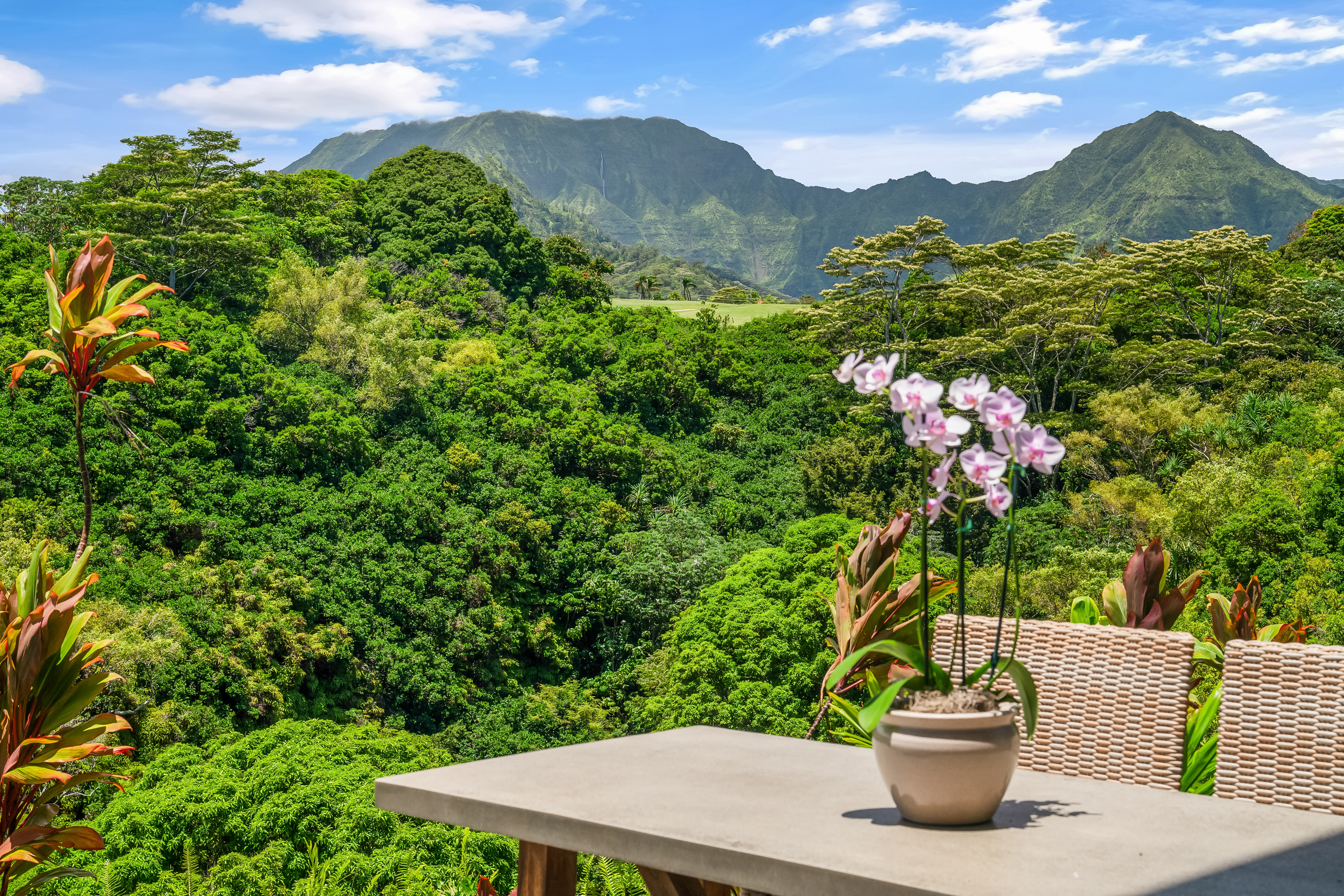 4100 QUEEN EMMA'S DR 13