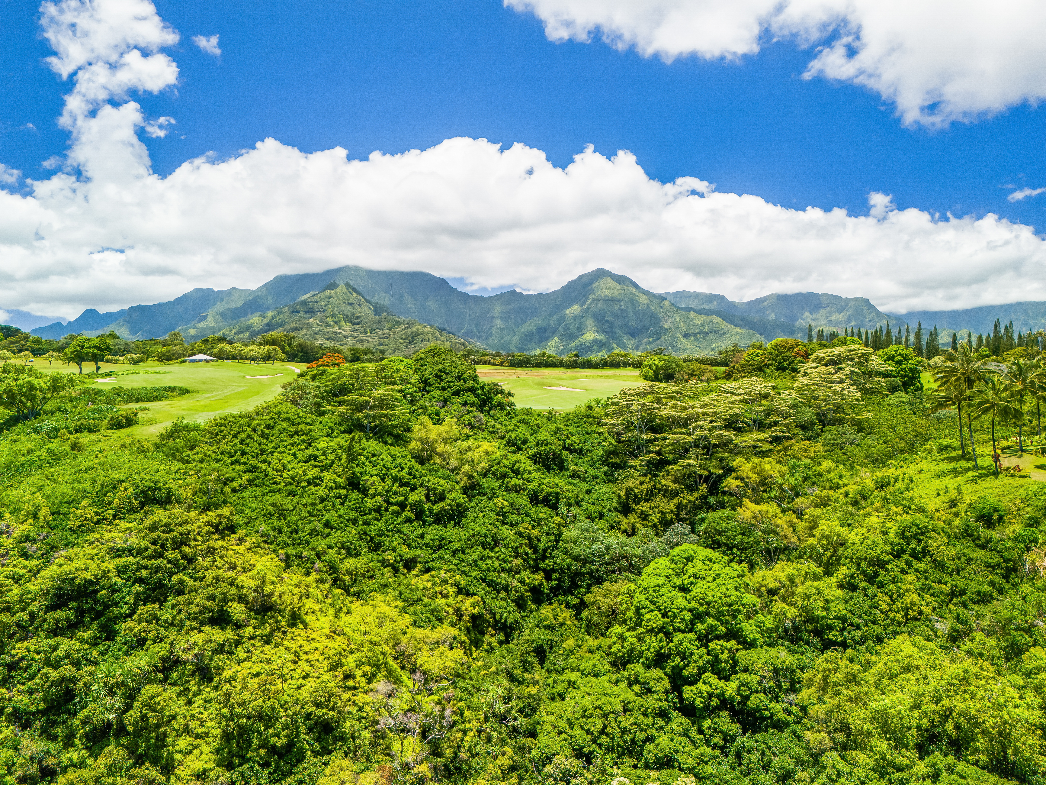 4100 QUEEN EMMA'S DR 13