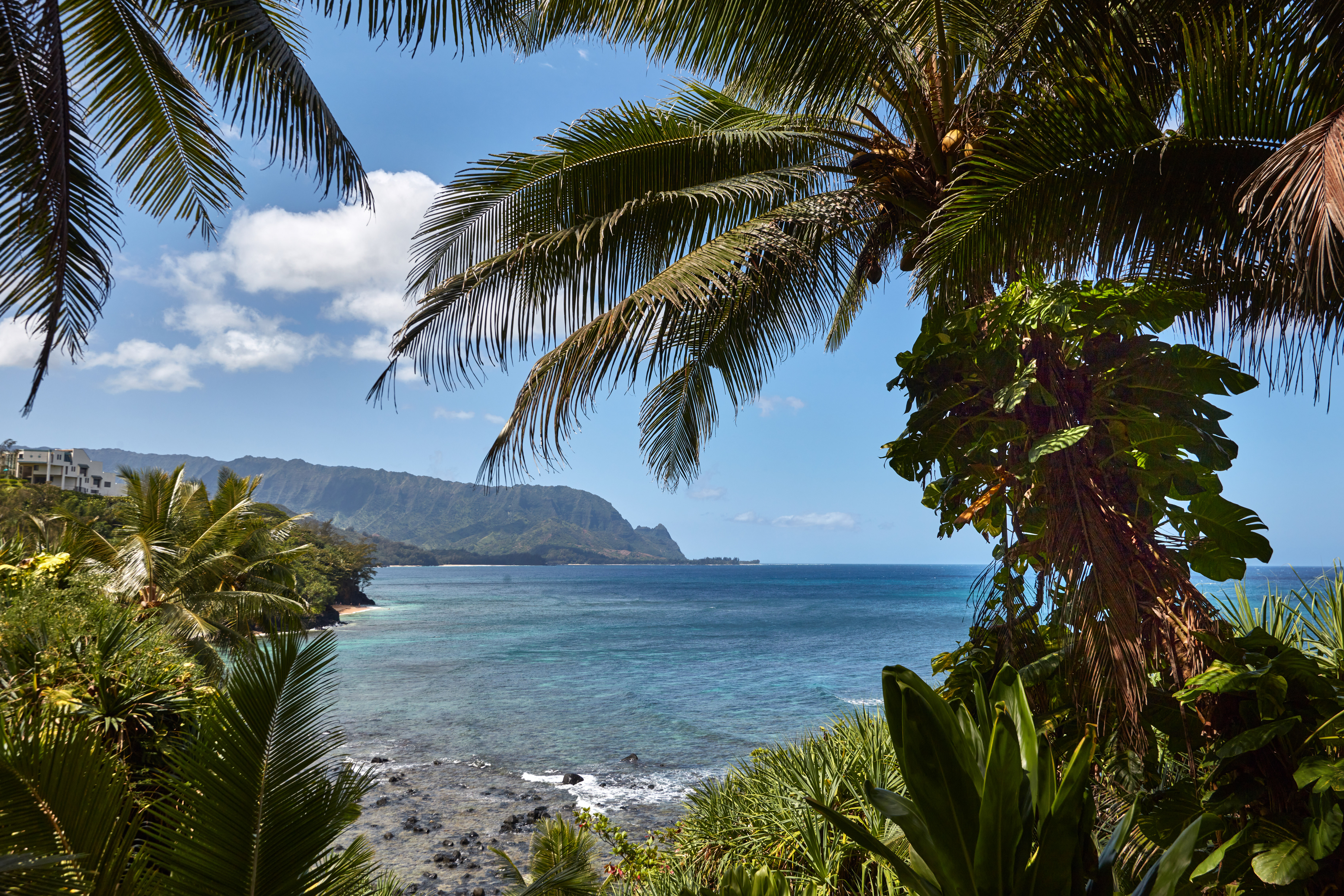 5300 KA HAKU RD 130