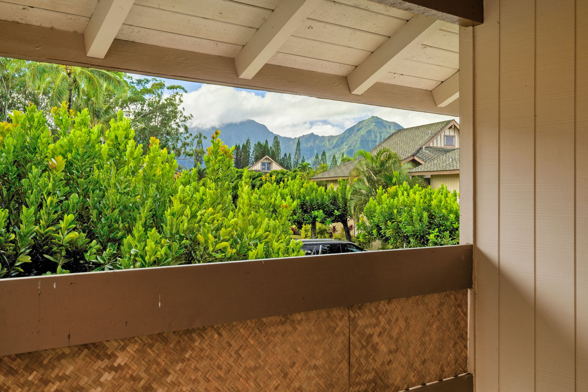 4770 PEPELANI LP 230