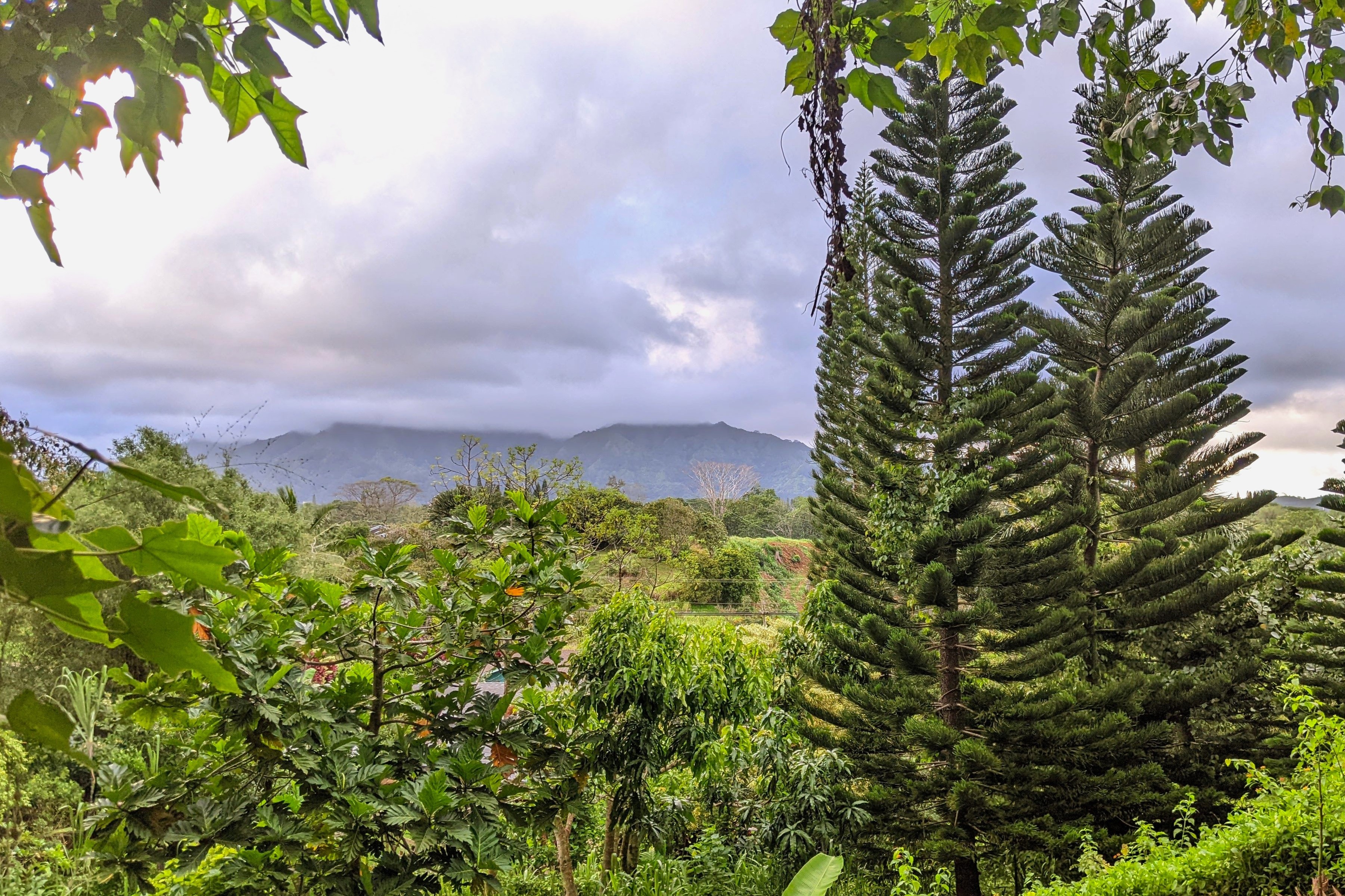 5837 OLOHENA RD Unit A