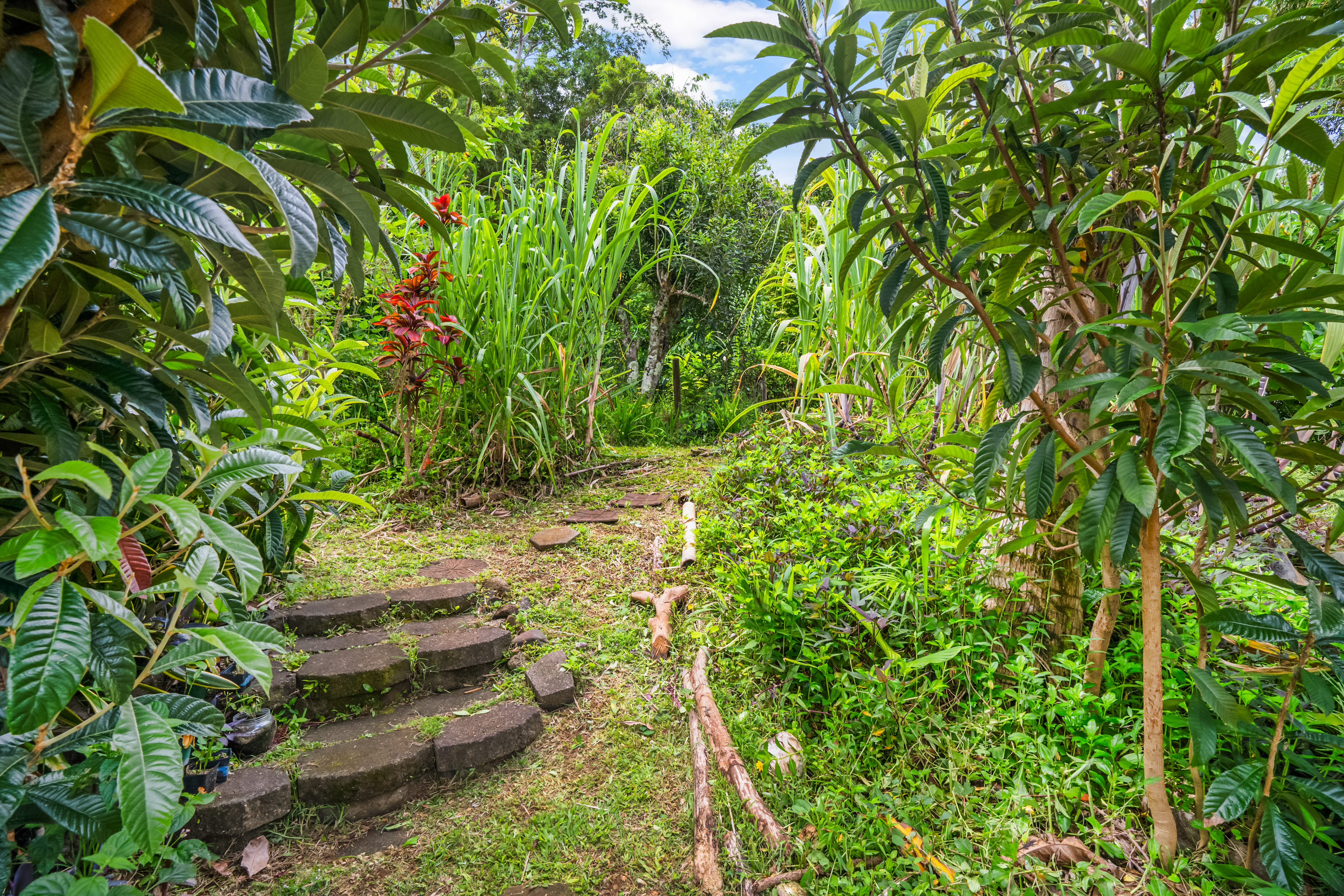 5837 OLOHENA RD Unit A