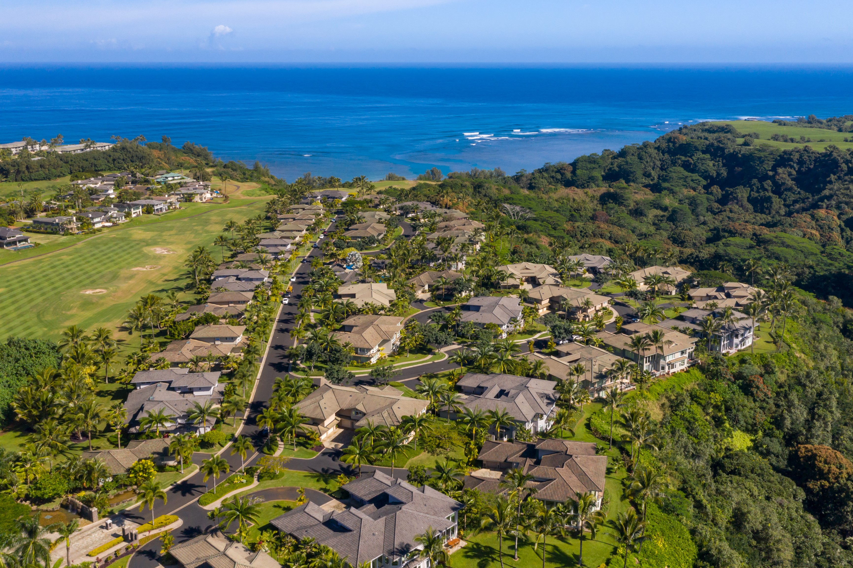 4100 QUEEN EMMA'S DR 59