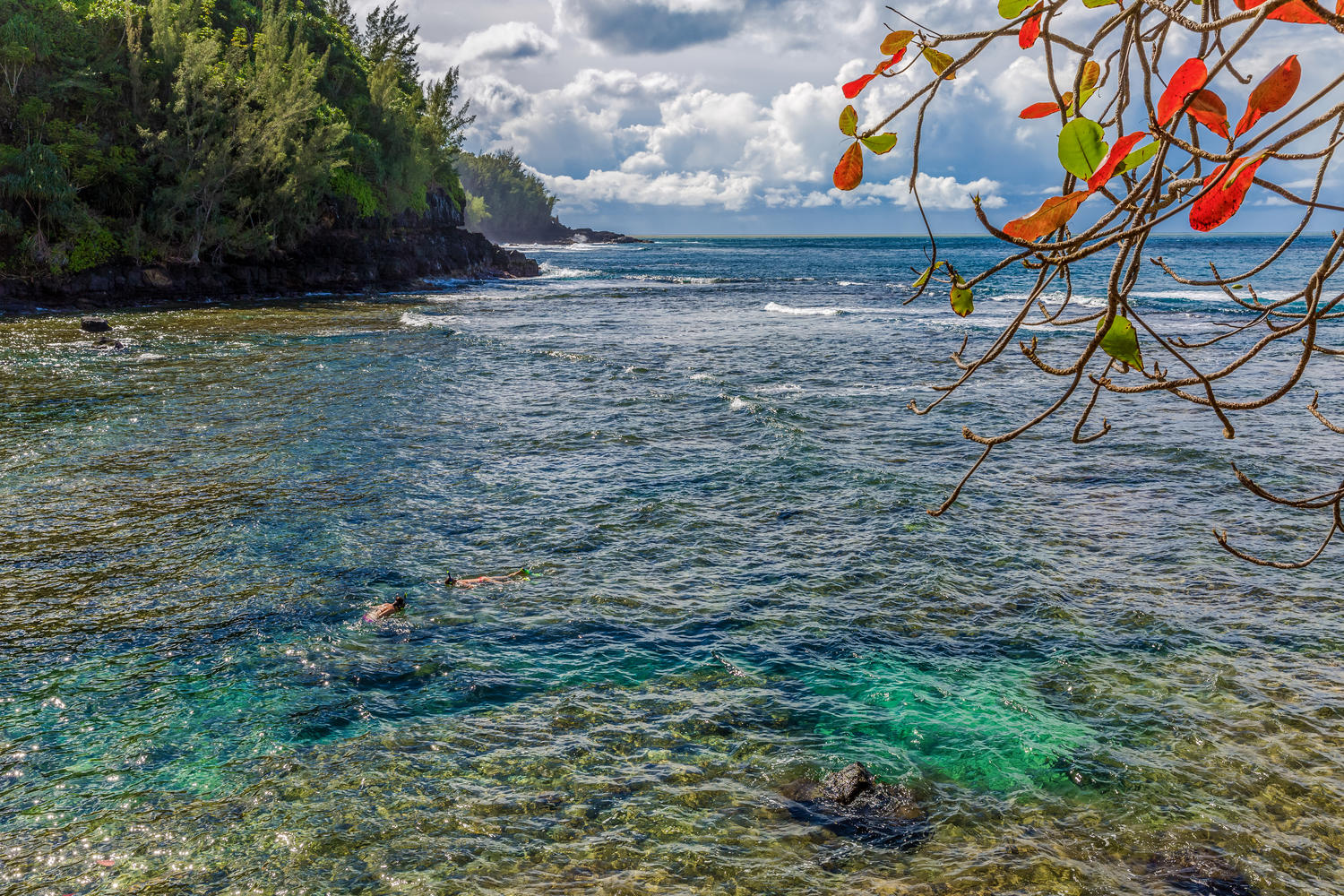 3700 KAMEHAMEHA RD F8