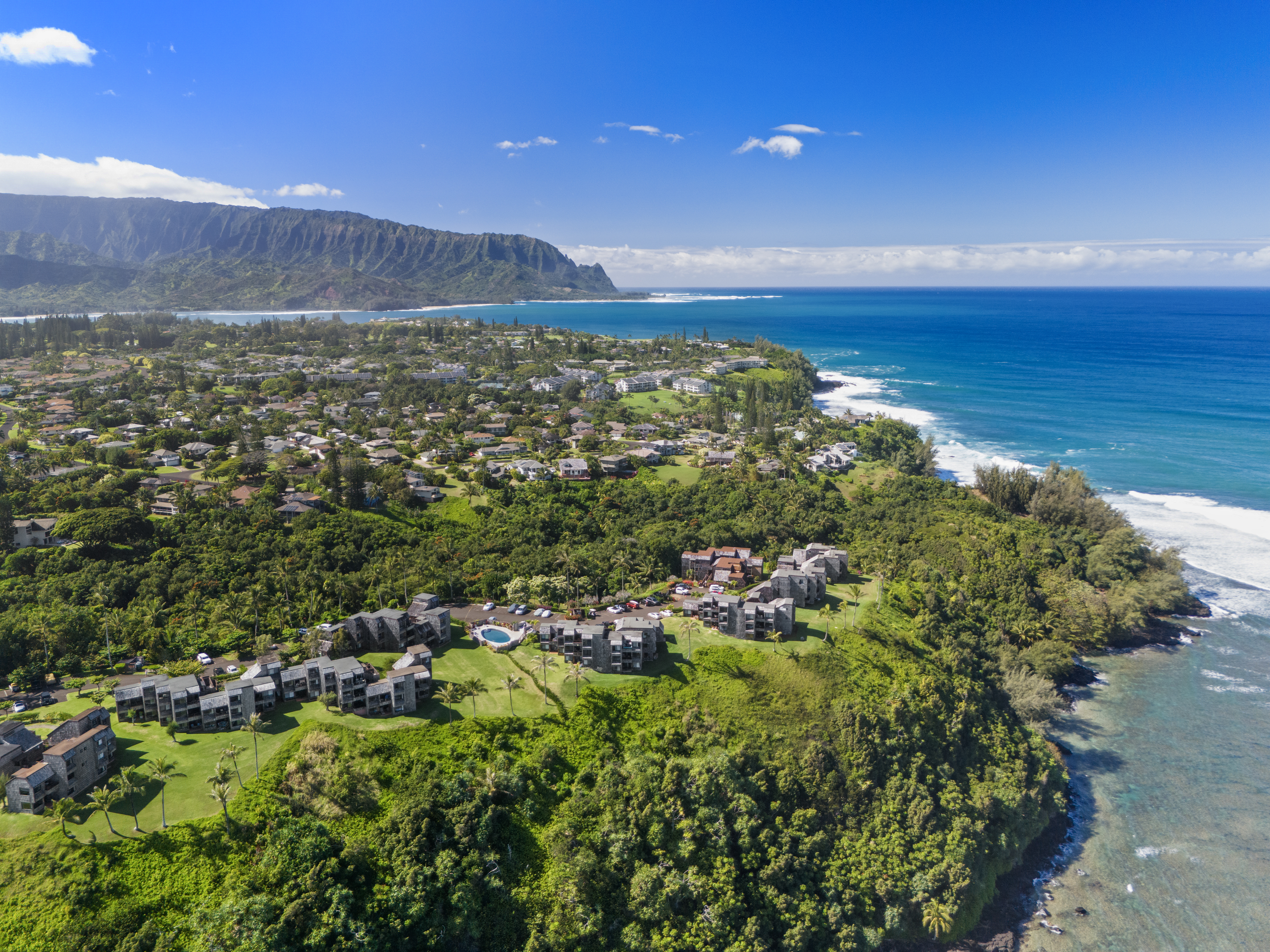 3700 KAMEHAMEHA RD F8