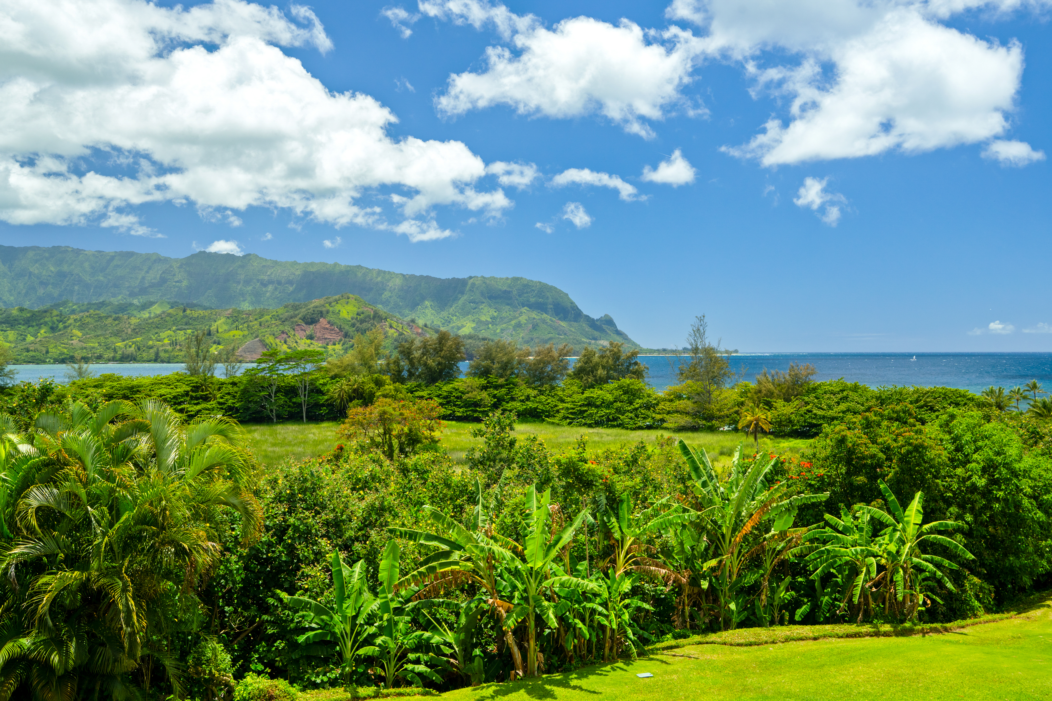 5380 HONOIKI RD 7301 / 7302