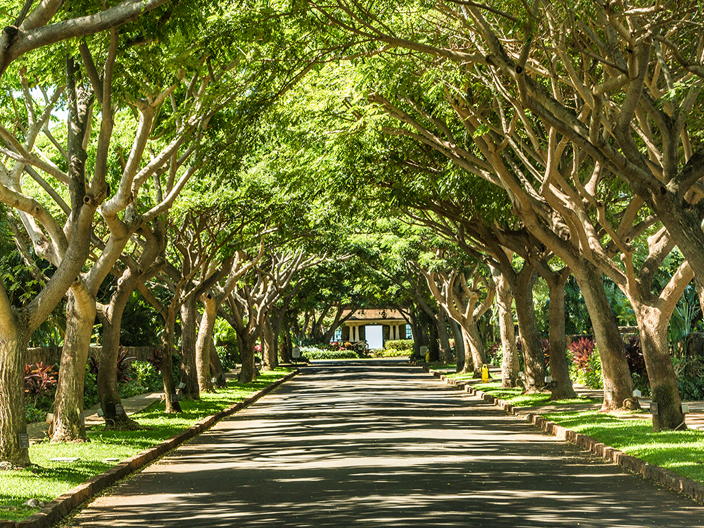KAHALAWAI ST