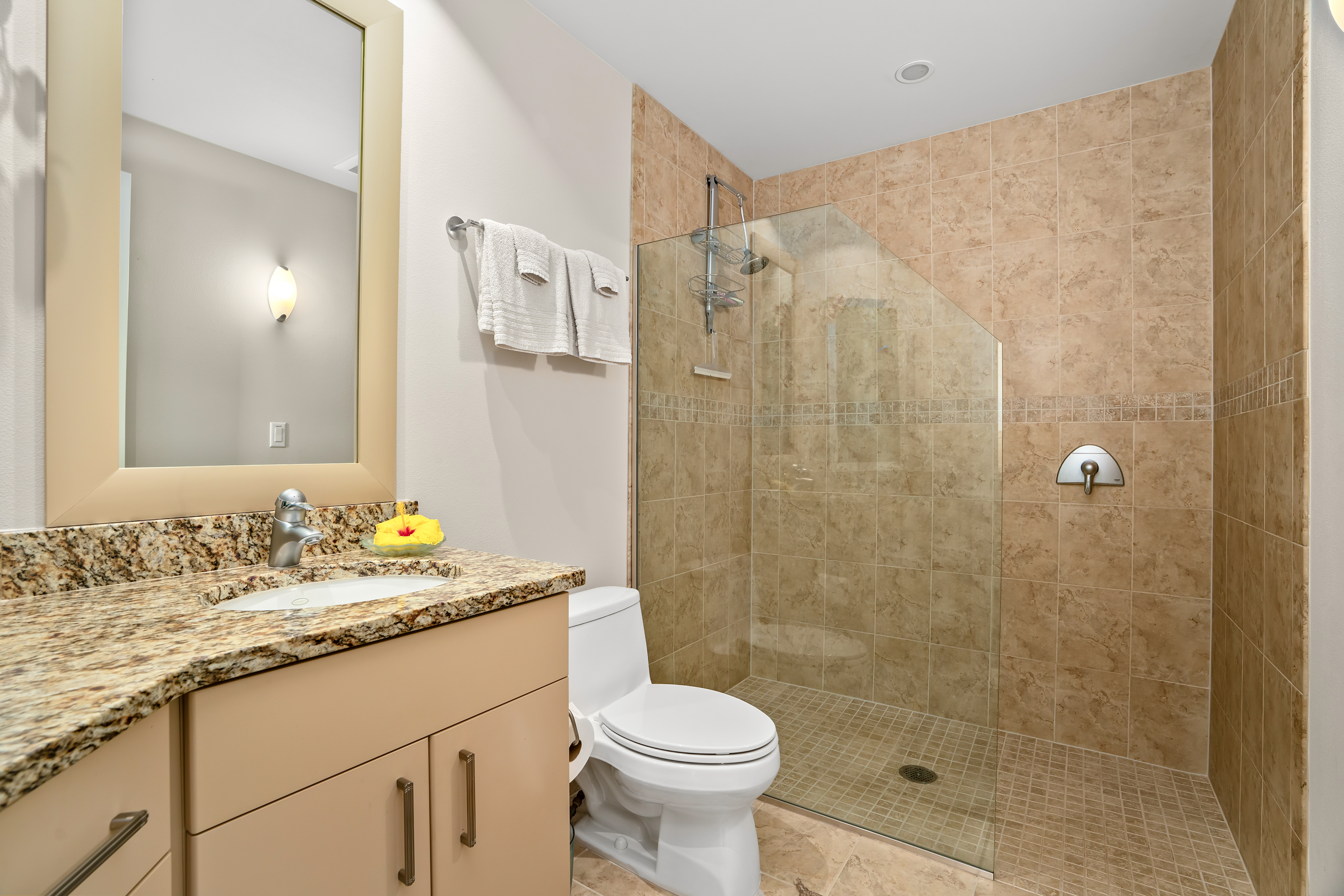 4100 QUEEN EMMA DR 33