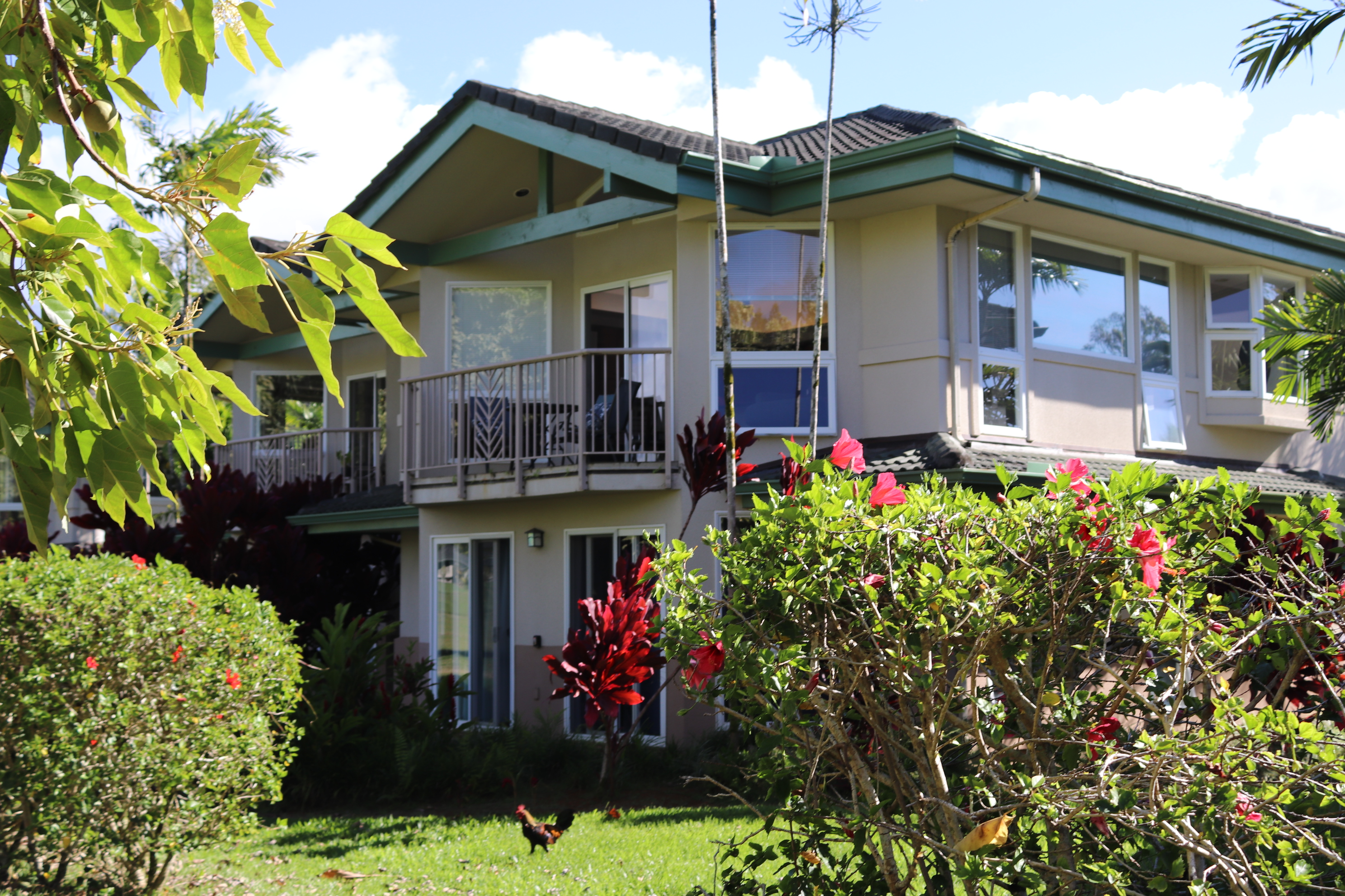 4141 LEI O PAPA RD 3