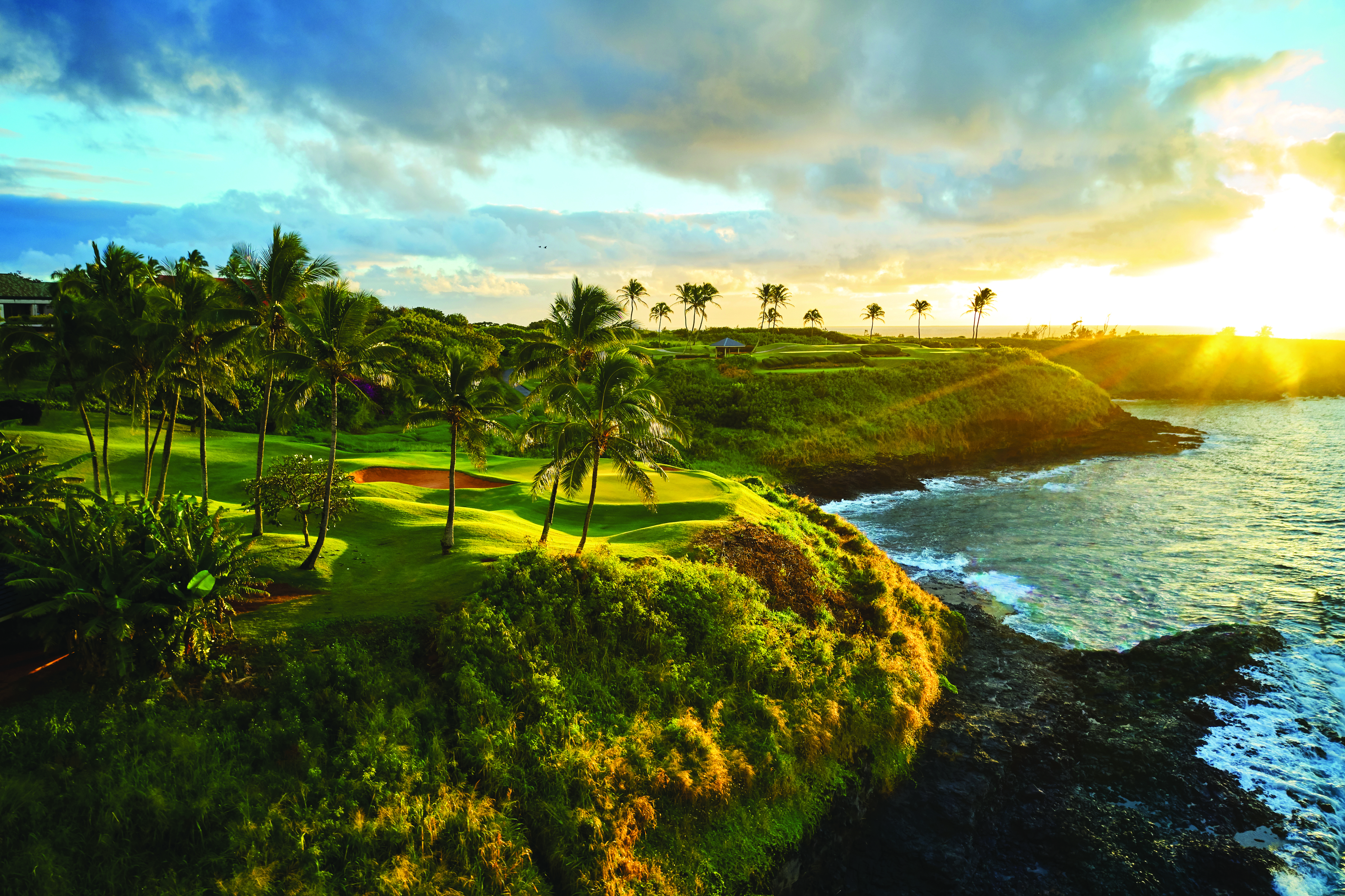 3770 ALAOLI WAY 1002