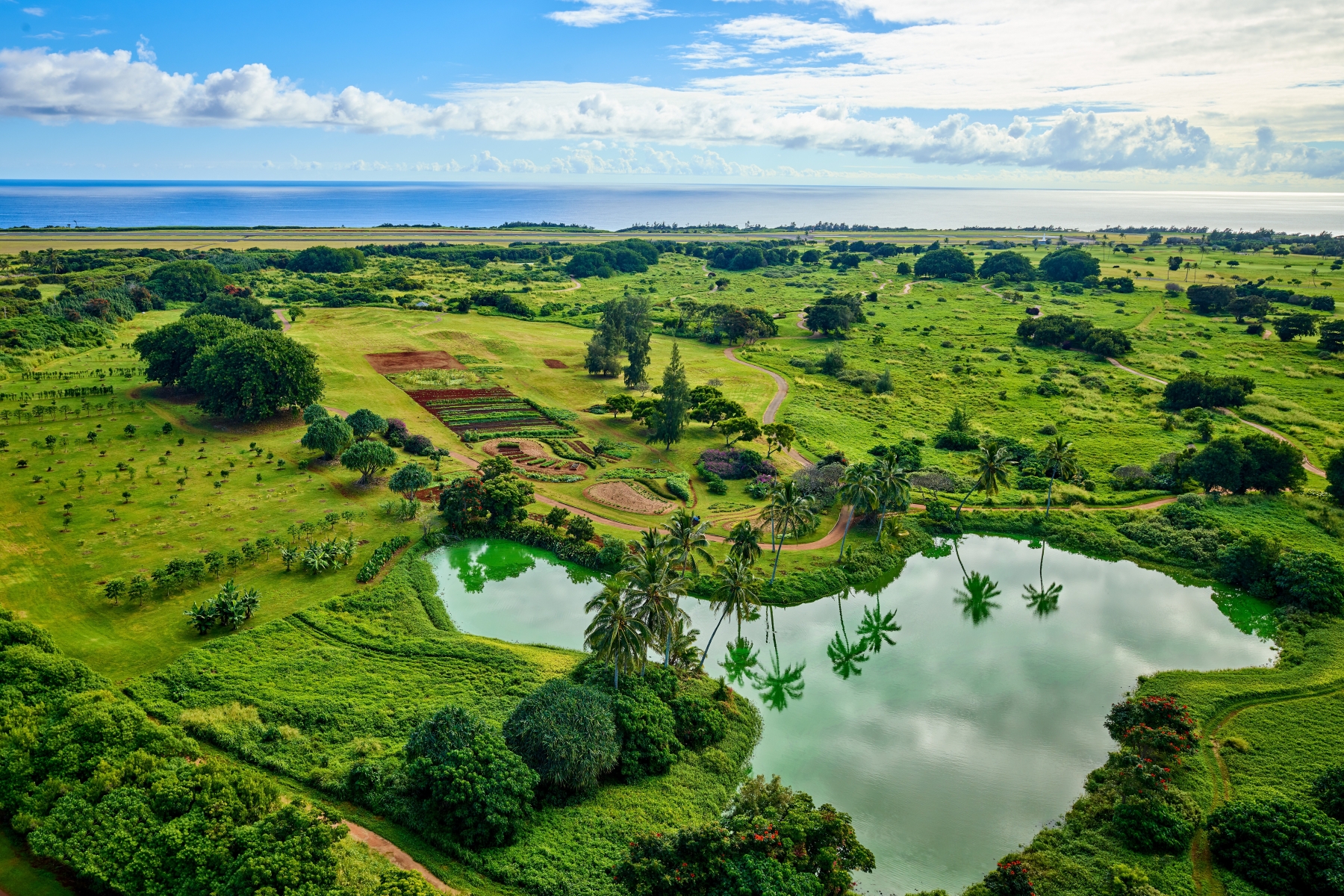 3770 ALAOLI WAY 1002