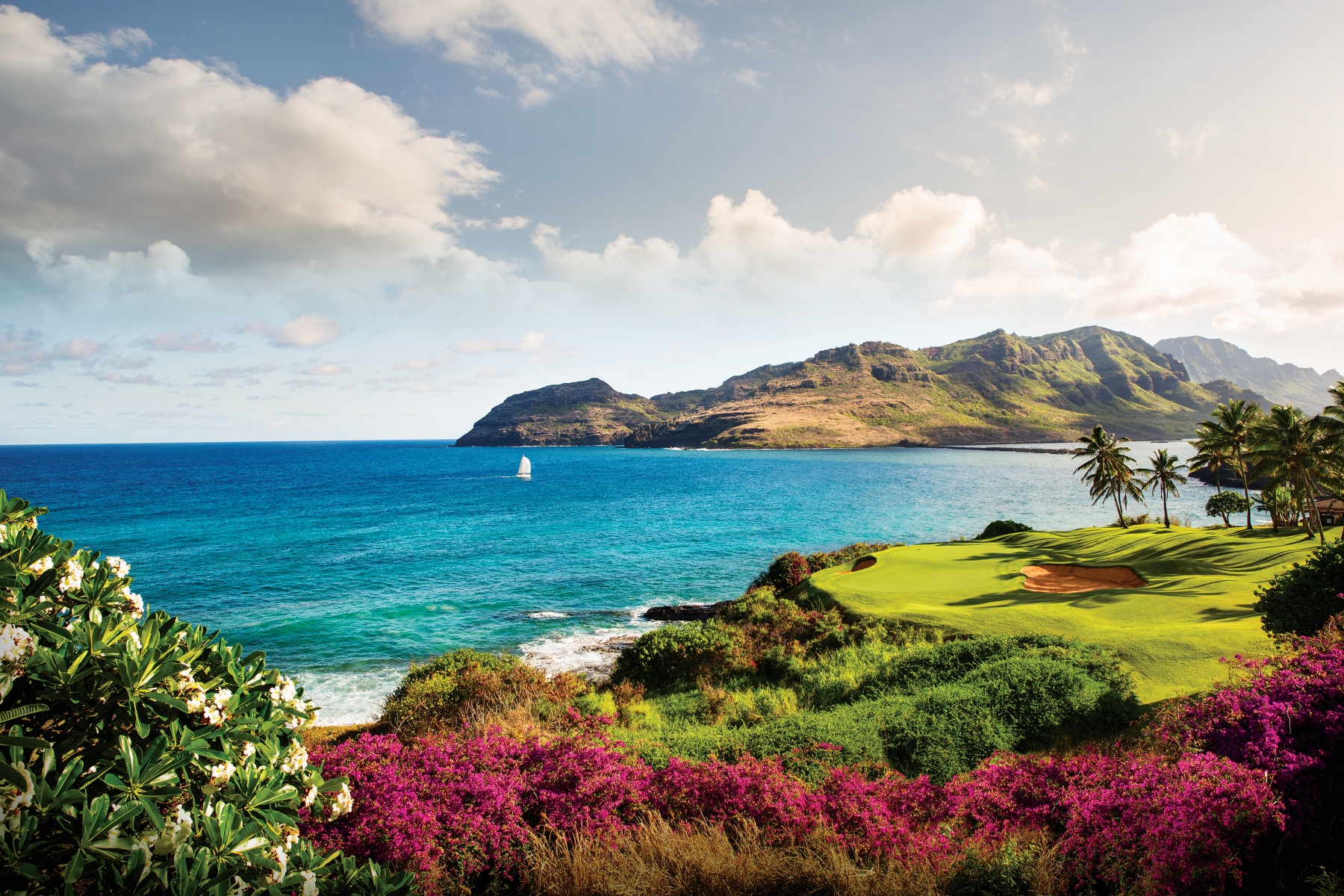 3770 ALAOLI WAY 1002