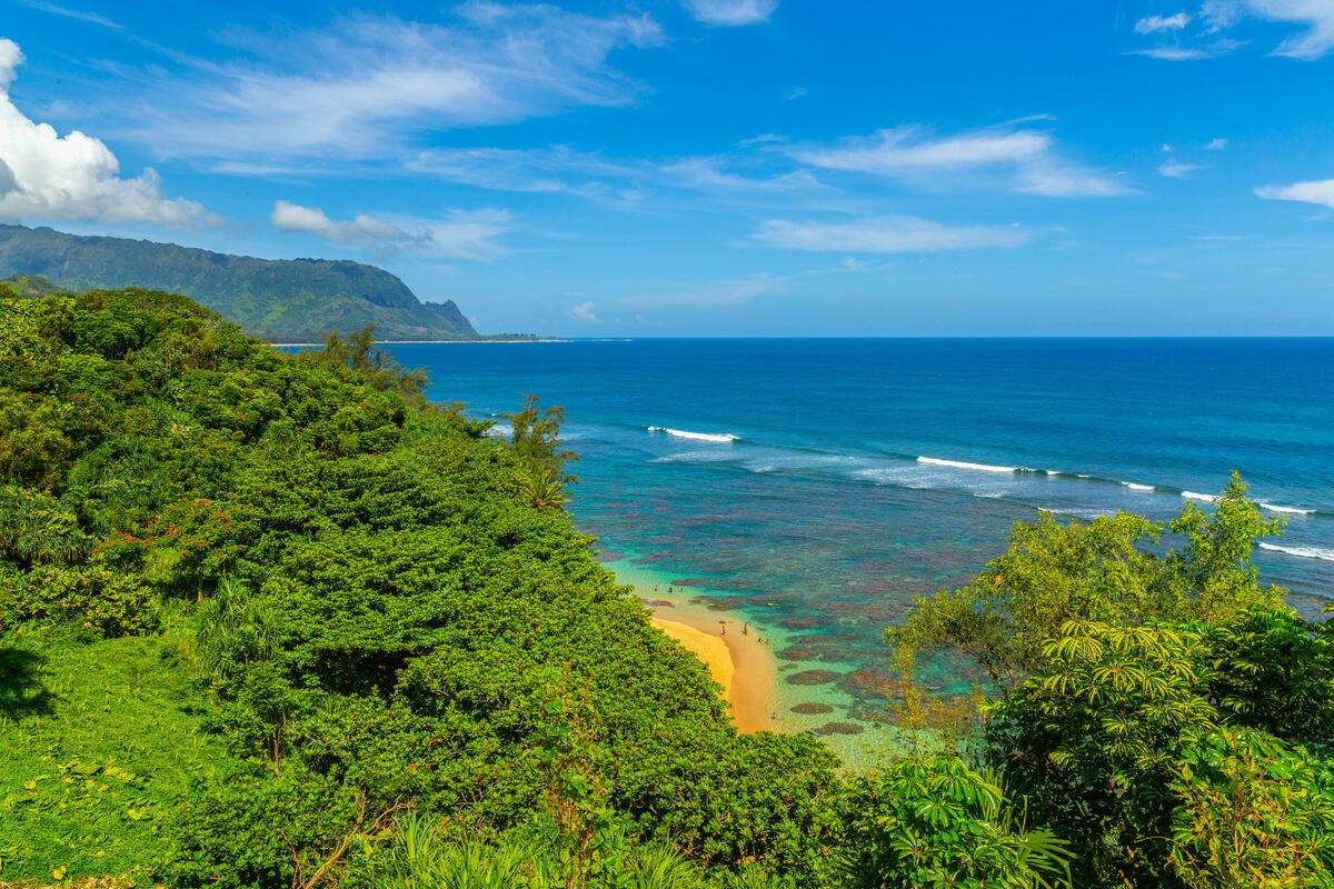 5454 KA HAKU RD 307