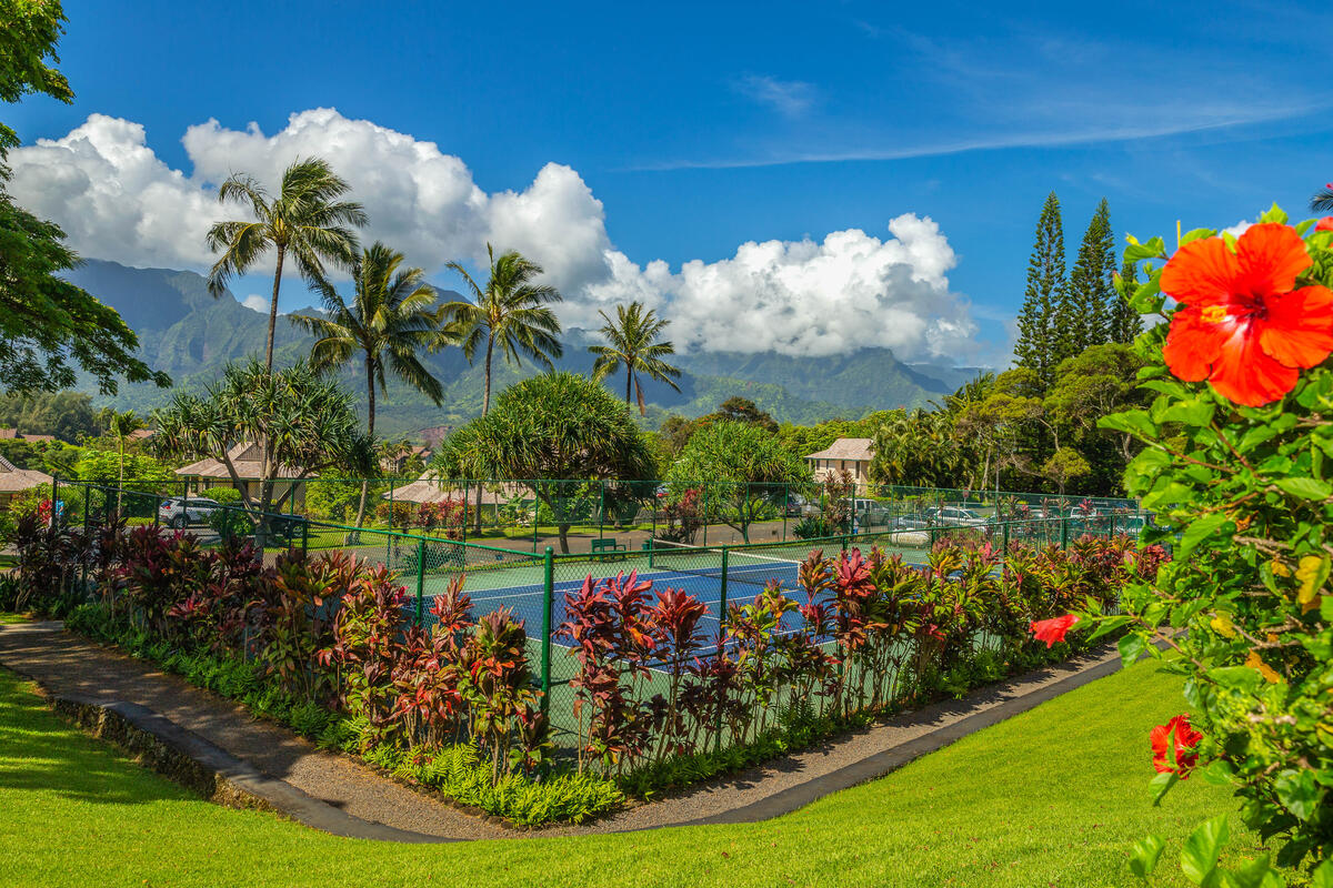5454 KA HAKU RD 307
