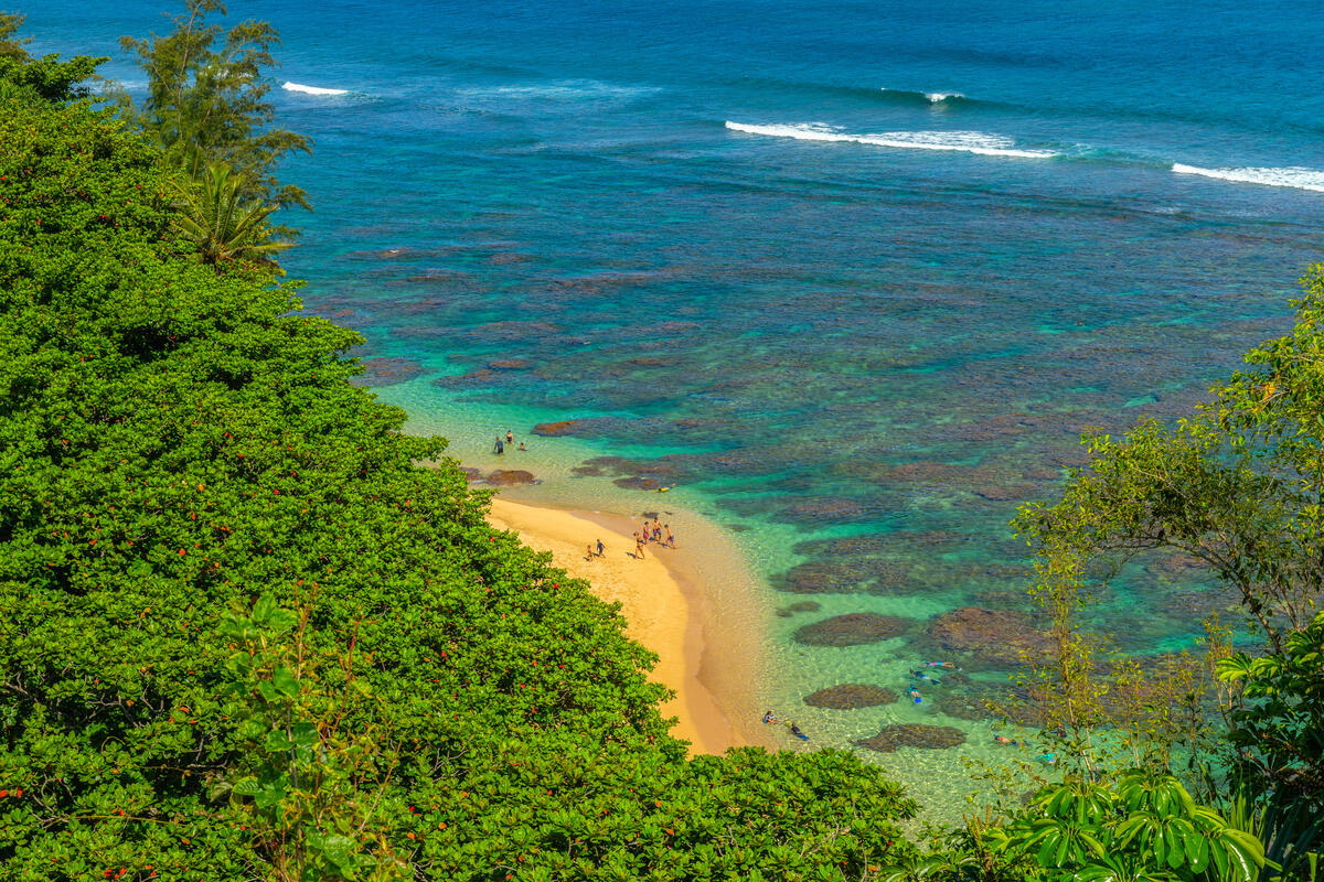 5454 KA HAKU RD 307