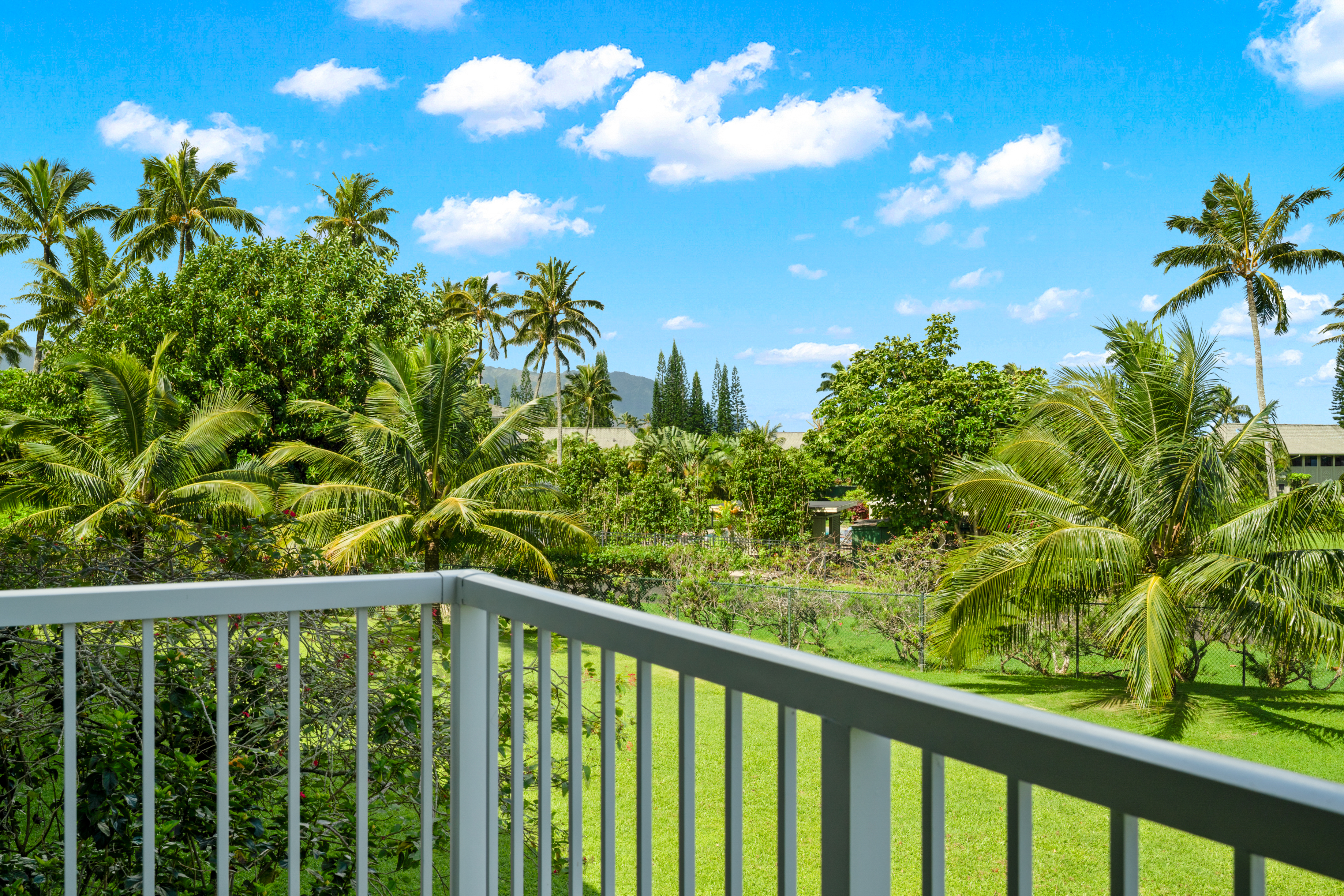 3811 EDWARD RD 4204