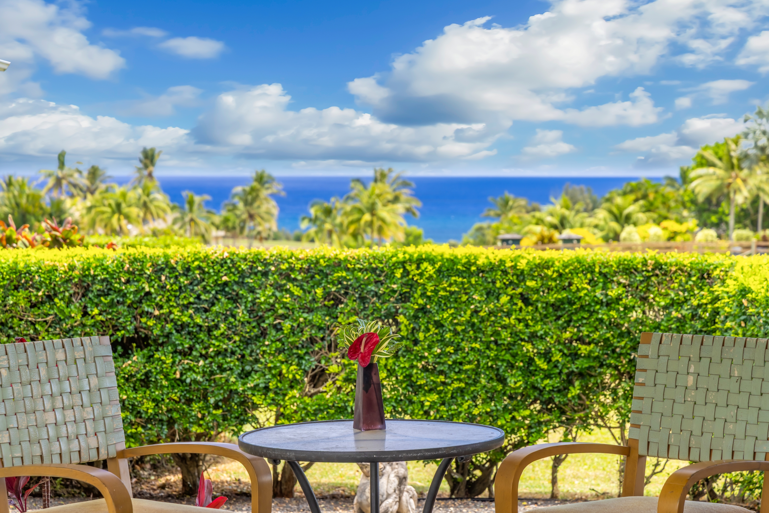5425-C KALALEA VIEW DR