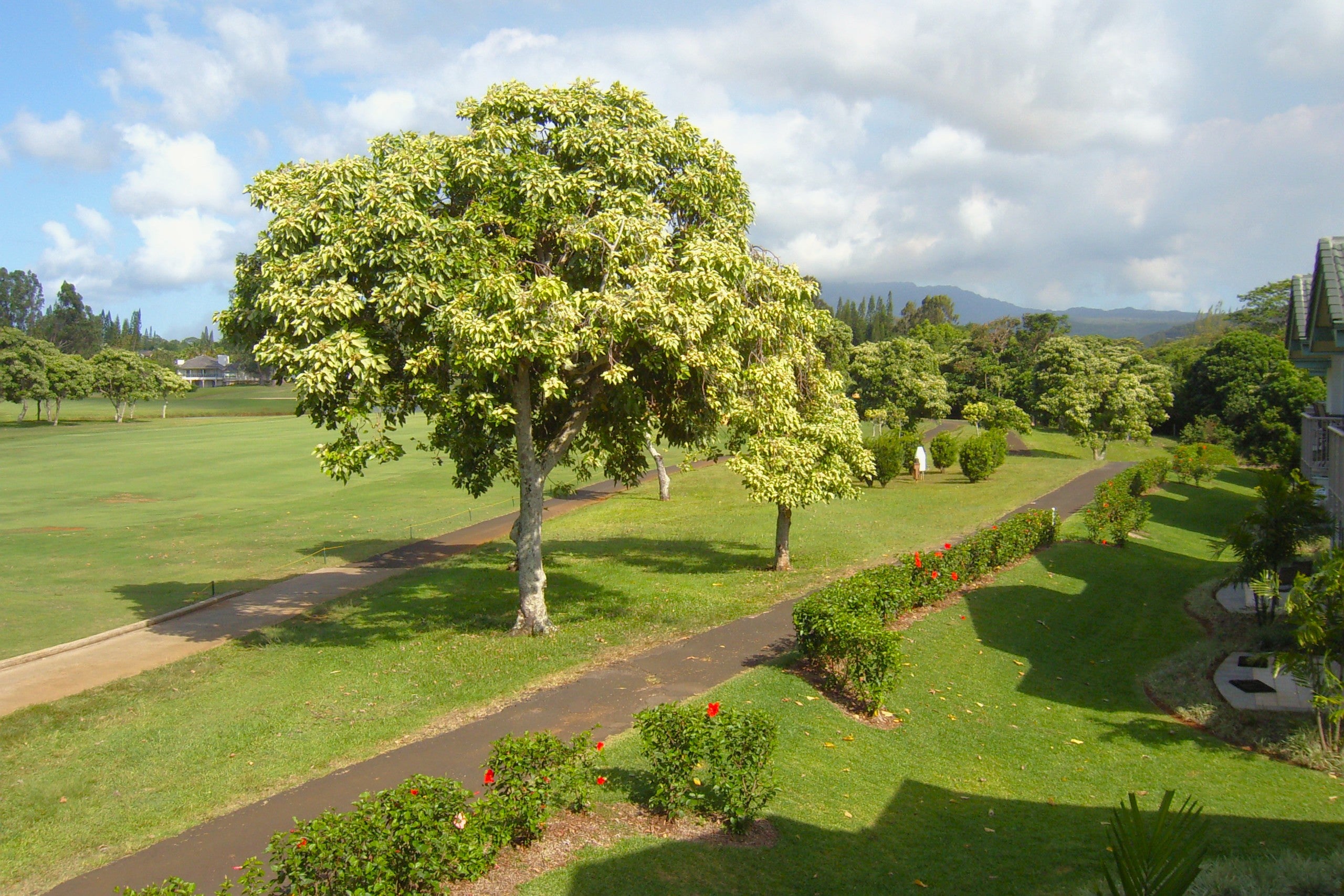 Landscaped grounds with paved paths and flowering hedges beside a golf course and distant mountains.