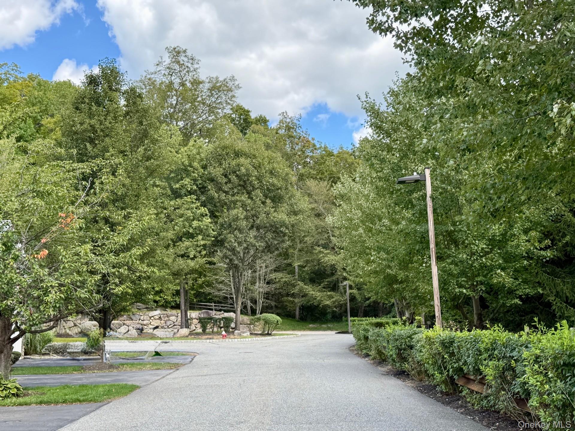 276 Woodlands Drive