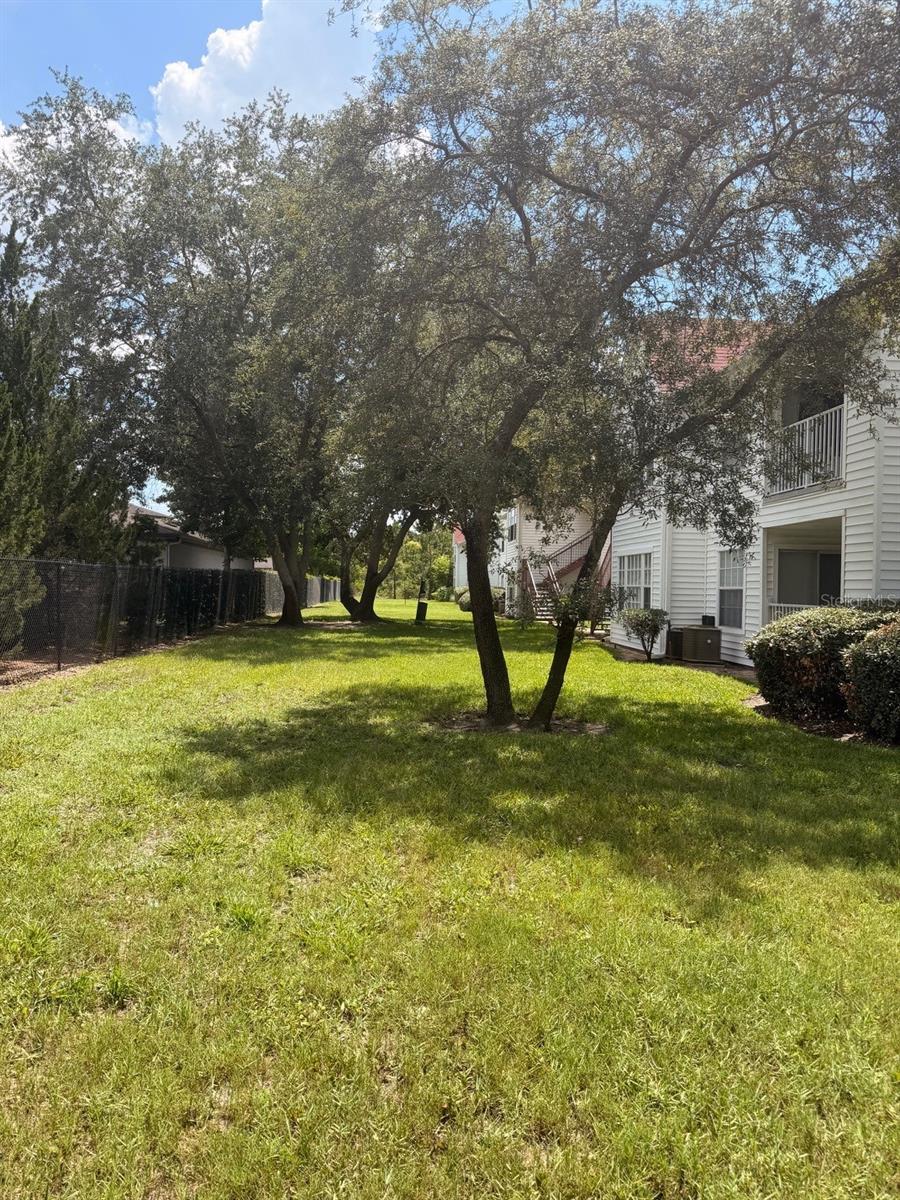 11568 WESTWOOD BLVD #1034
