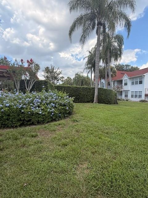 11568 WESTWOOD BLVD #1034