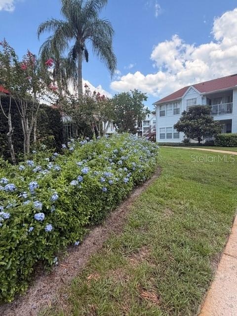11568 WESTWOOD BLVD #1034