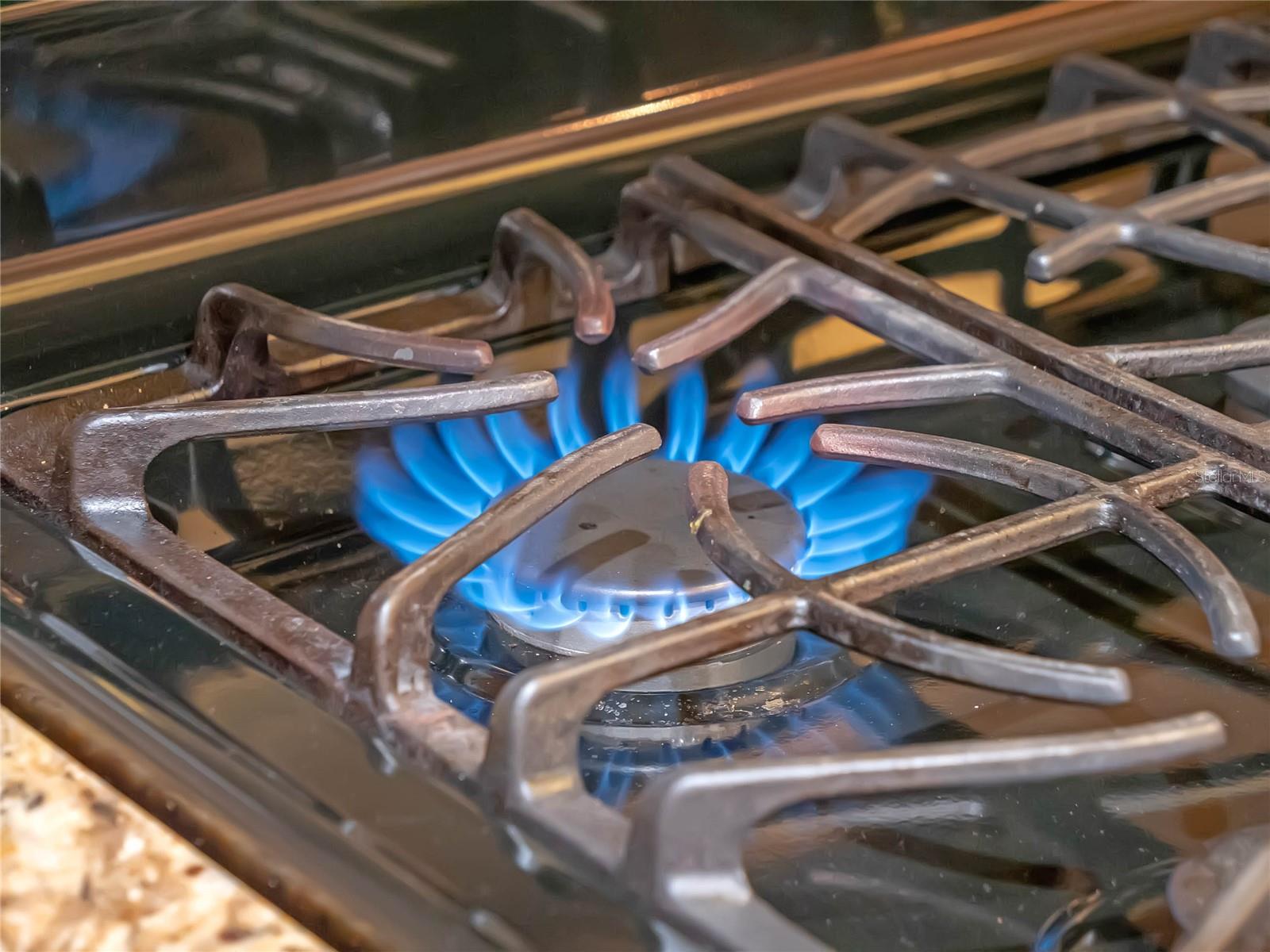 4738 Saint Andrews Arc