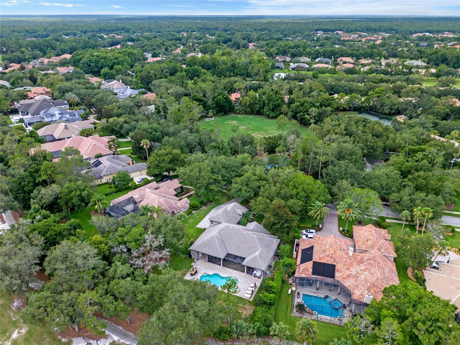 3373 Lakeview Oaks Dr