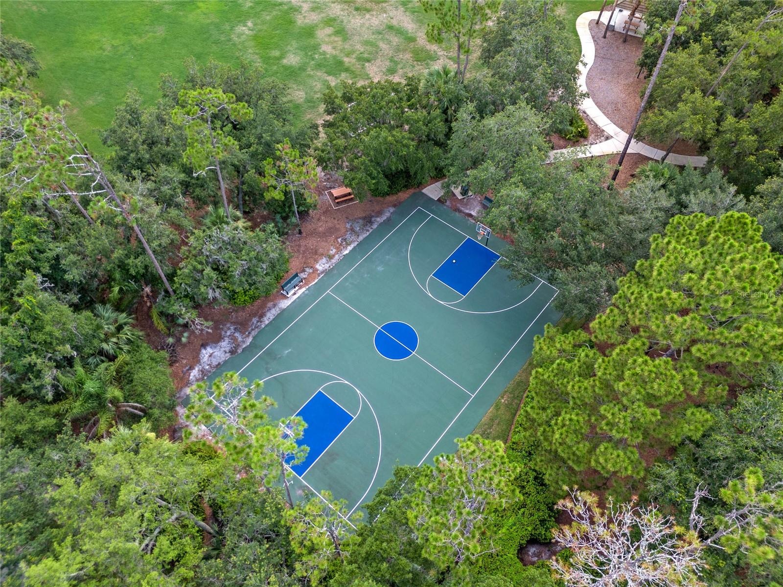 3373 Lakeview Oaks Dr