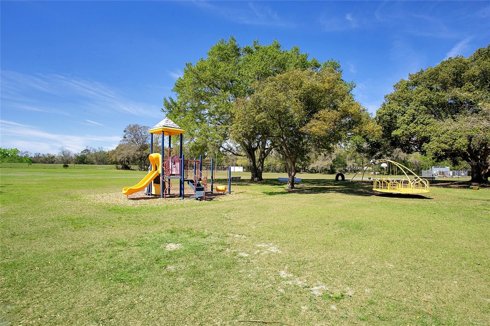 103 Des Pinar Ln