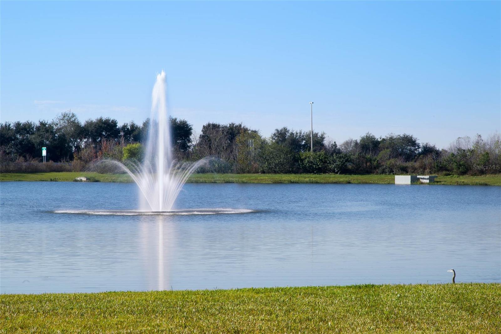 1440 Scarlet Oak Loop