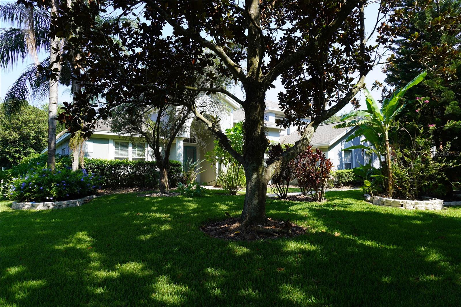 146 Seville Chase Dr