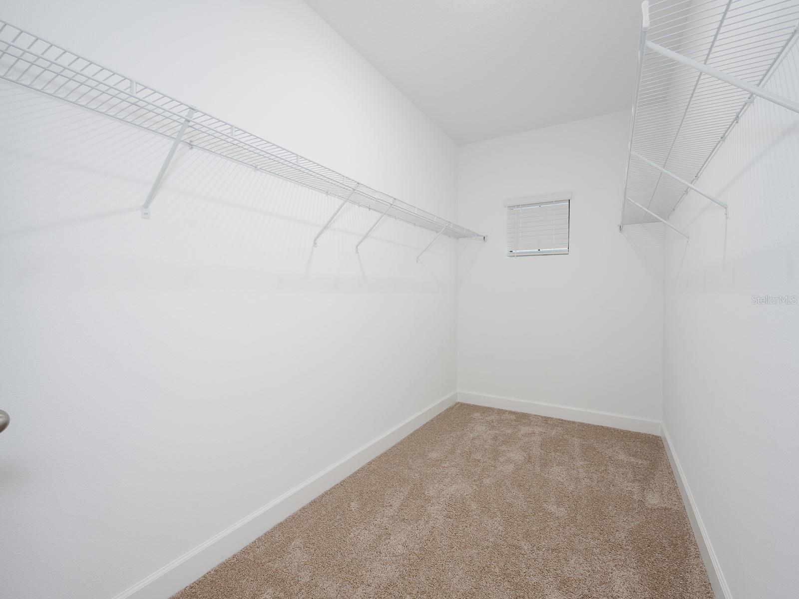 1509 Little Egret Ln