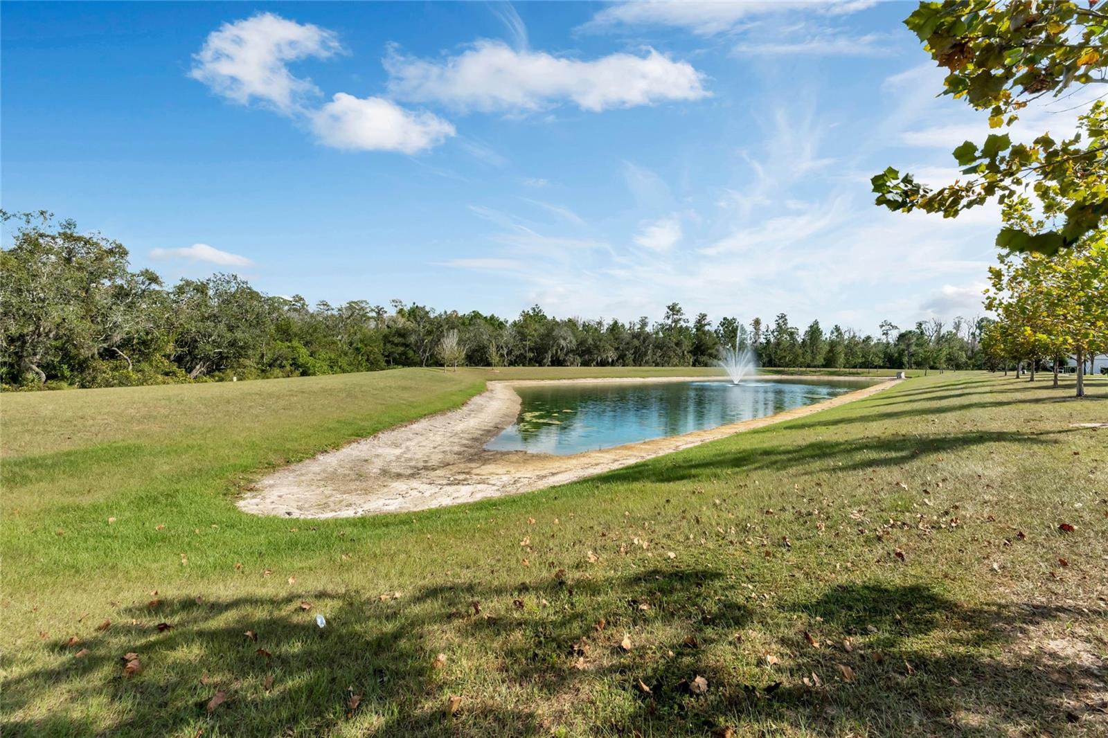 10521 Spring Arbor Ln