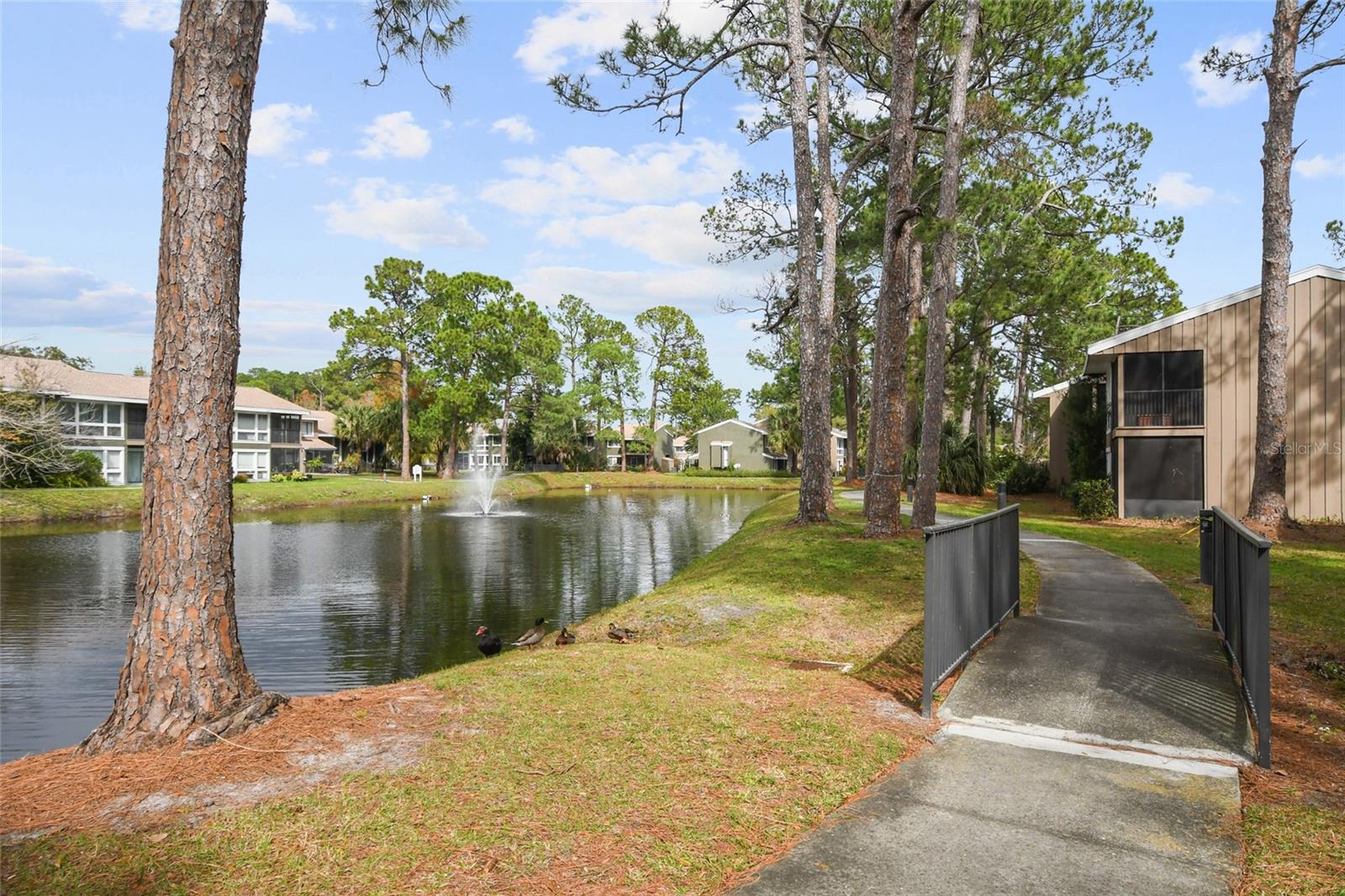 6049 Windhover Dr #B04