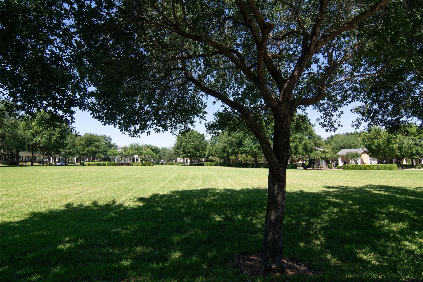 6536 Helmsley Cir