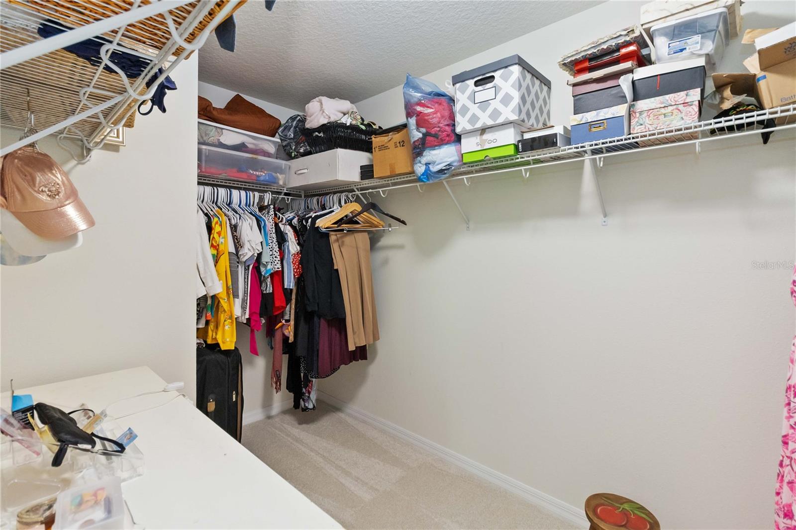 6025 Roseate Spoonbill Dr