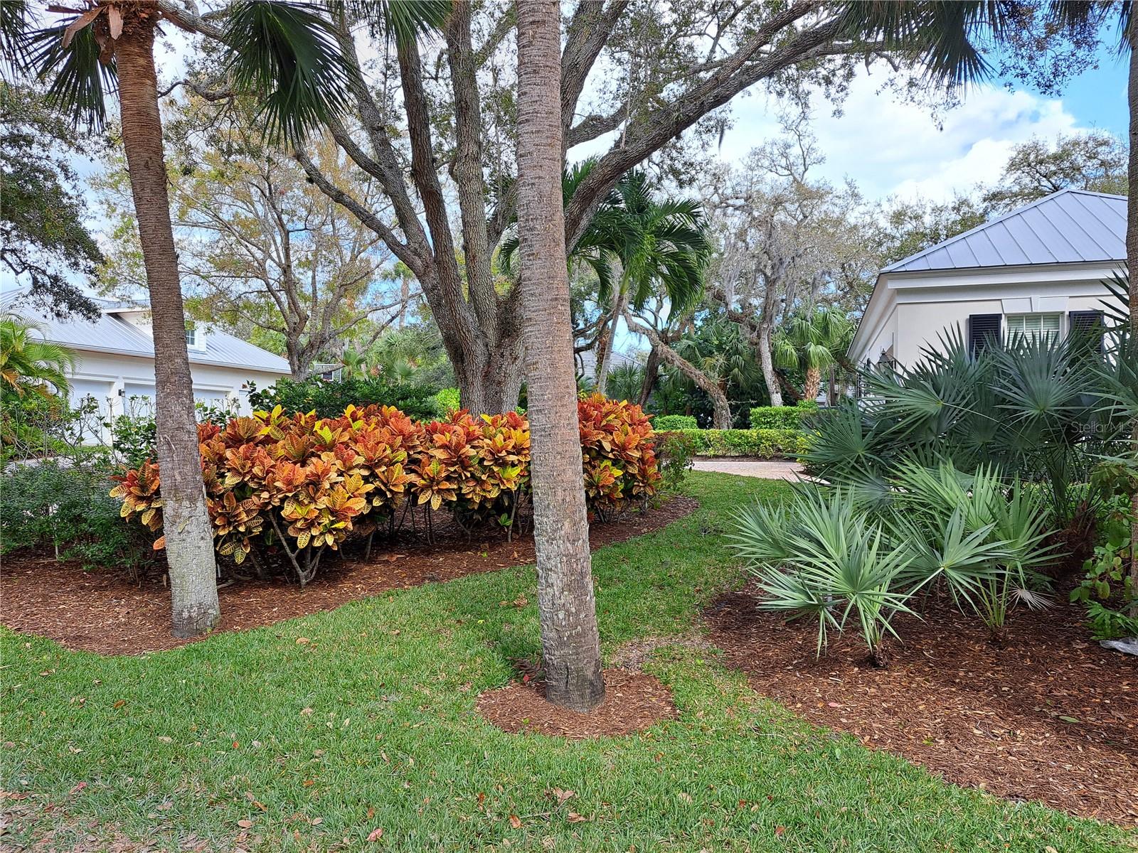 1516 W Camino Del Rio