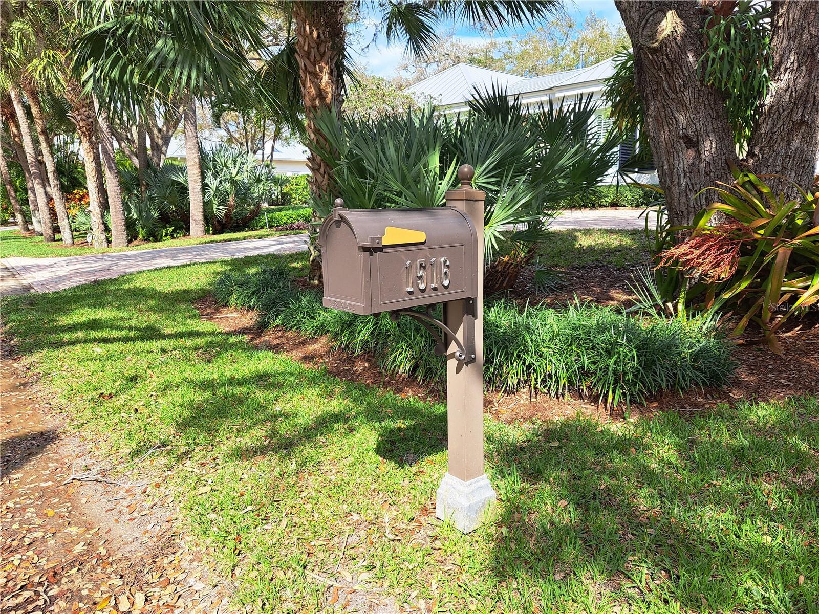 1516 W Camino Del Rio