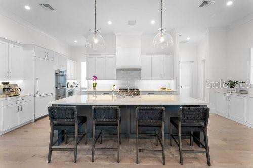 2516 Windermere Reserve Ct