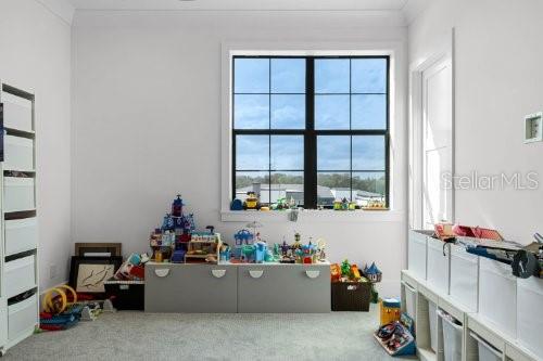 2516 Windermere Reserve Ct