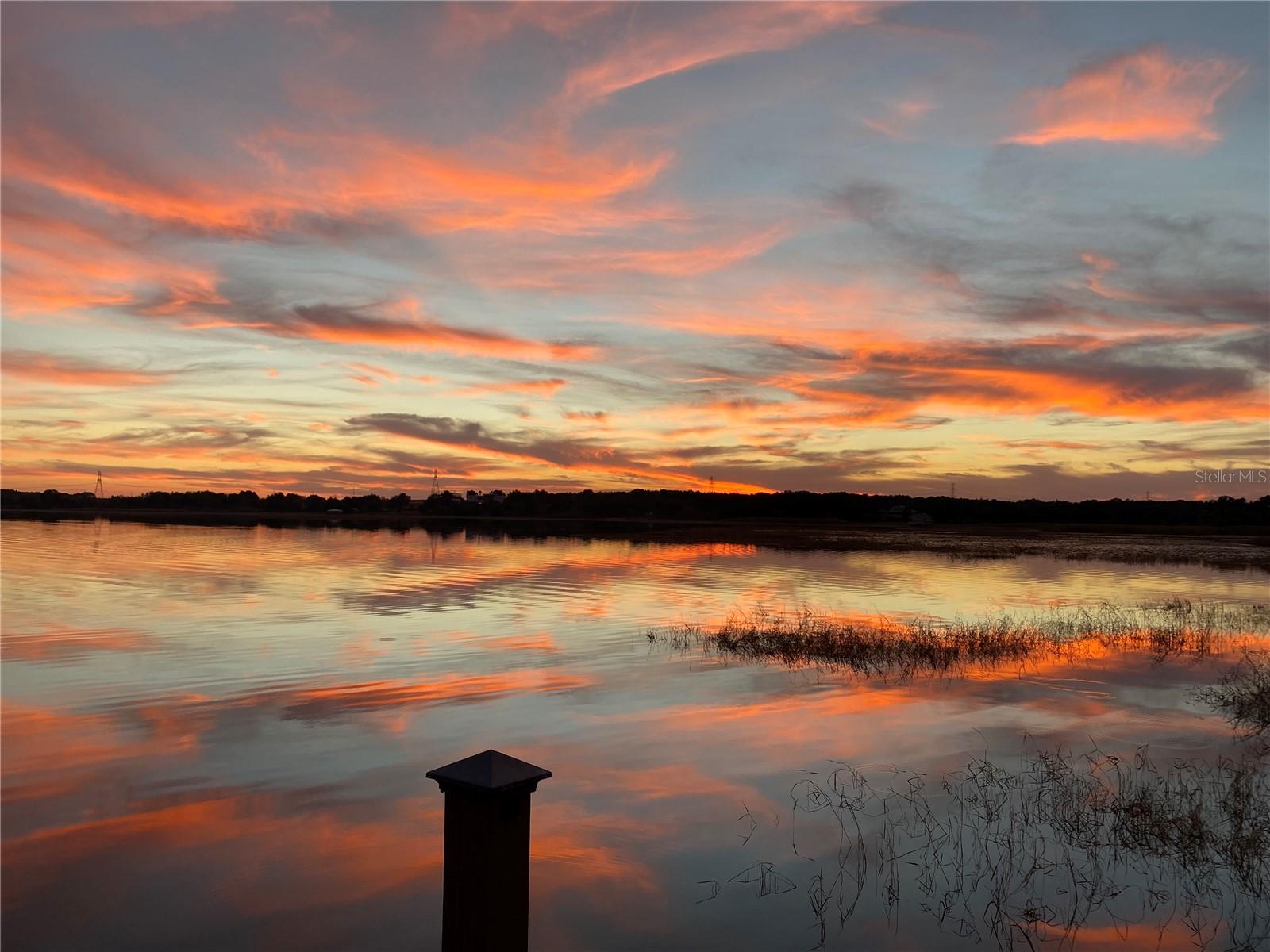 12537 Magnolia Cove Ct