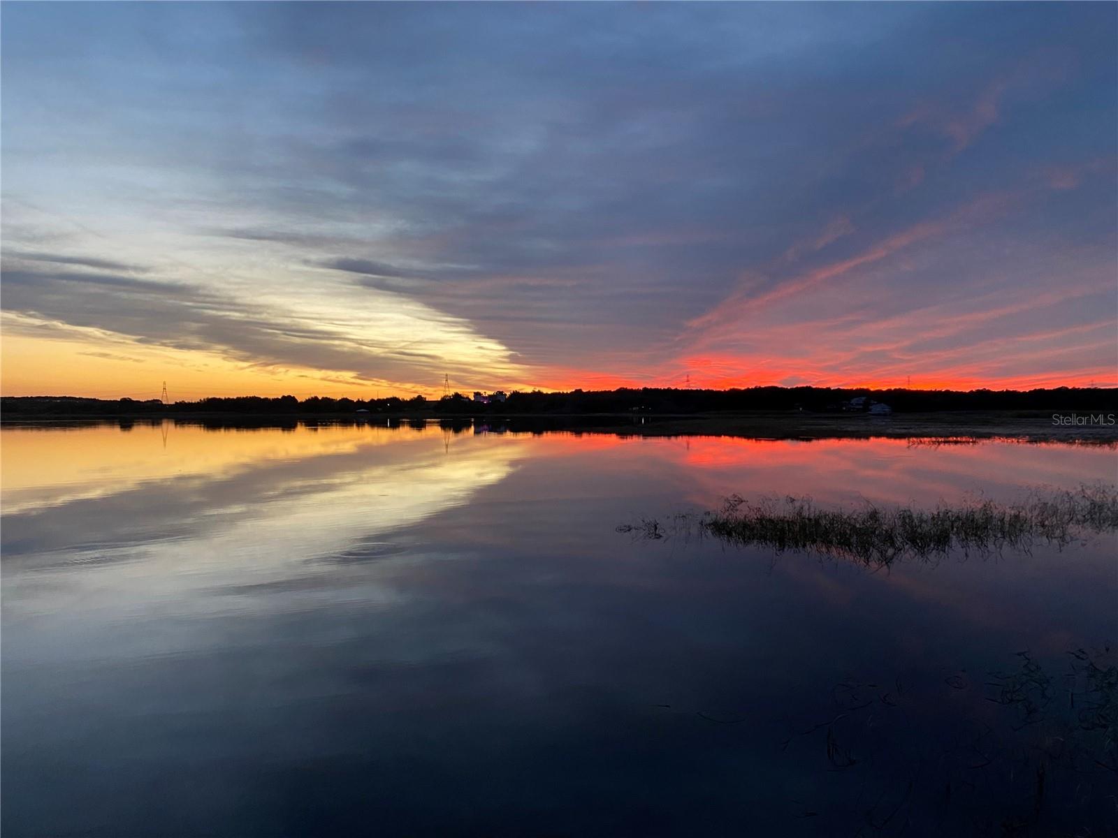 12537 Magnolia Cove Ct