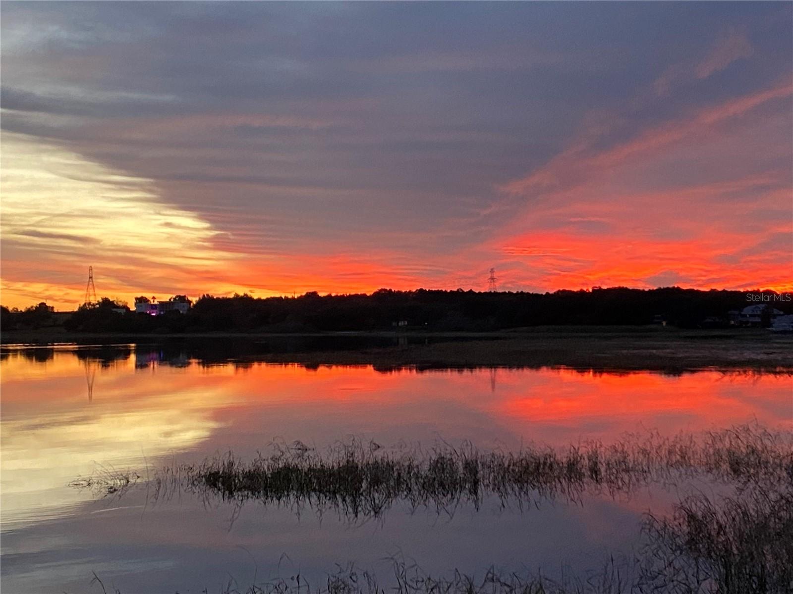 12537 Magnolia Cove Ct