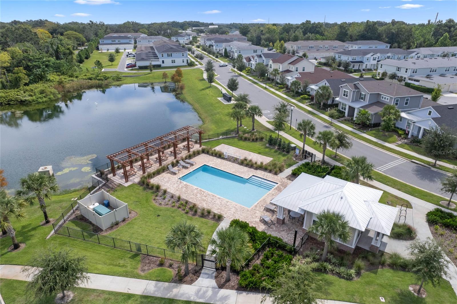 2212 Gopher Tortoise Ter