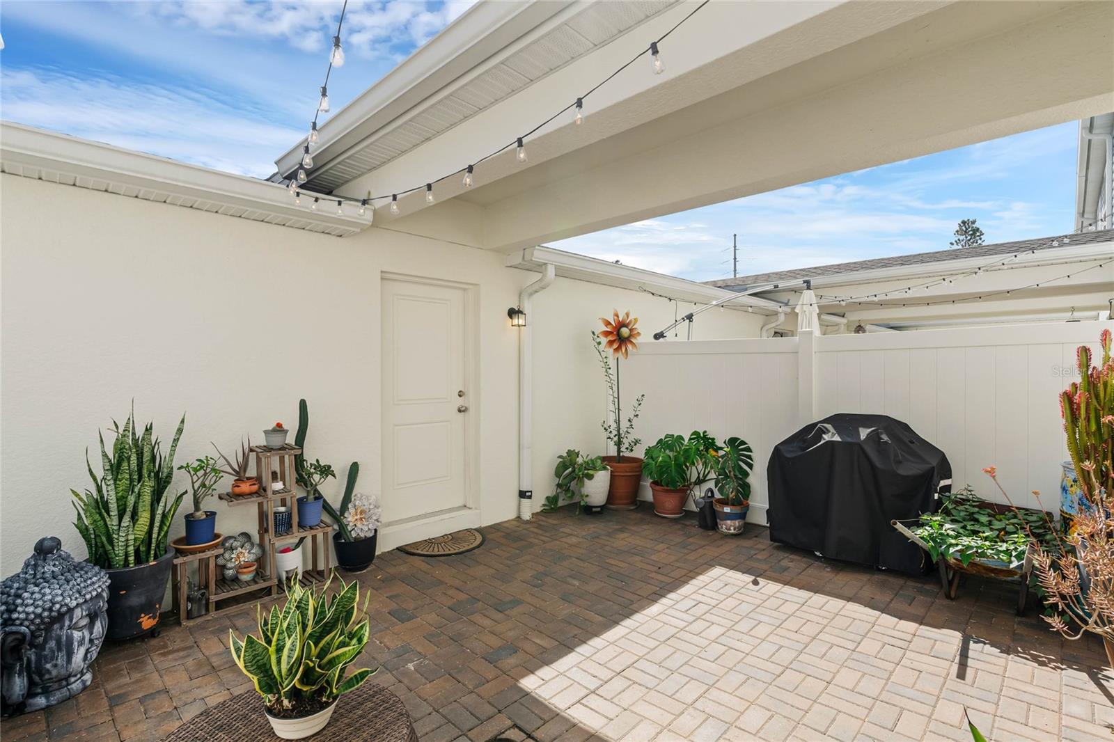 2212 Gopher Tortoise Ter