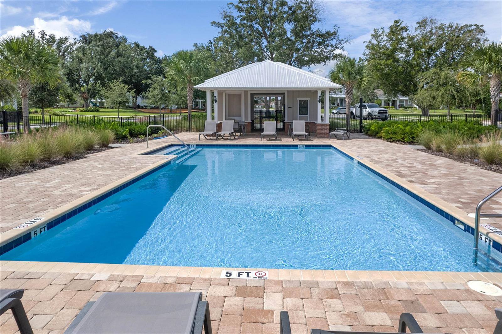 2212 Gopher Tortoise Ter
