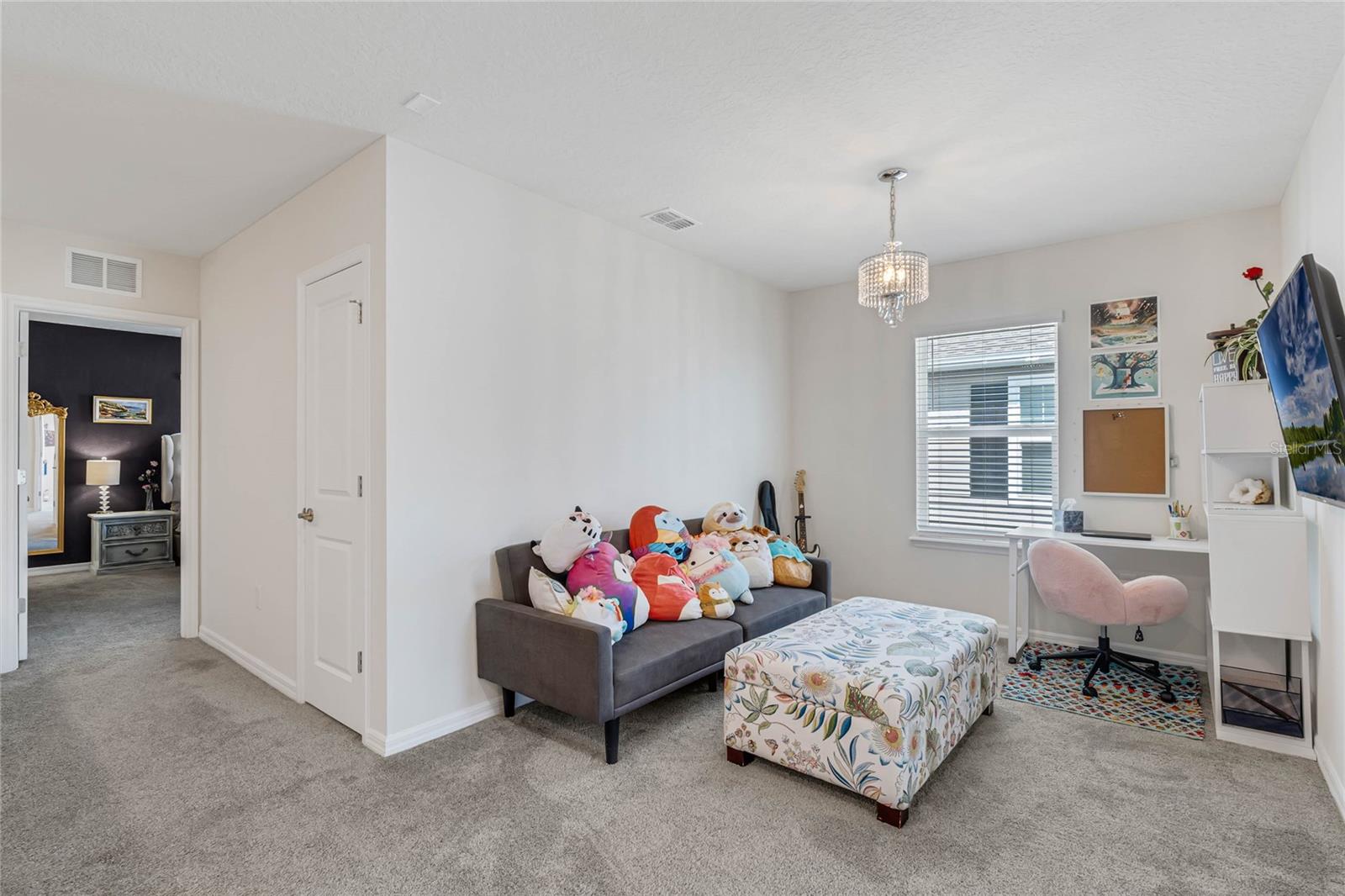 2212 Gopher Tortoise Ter